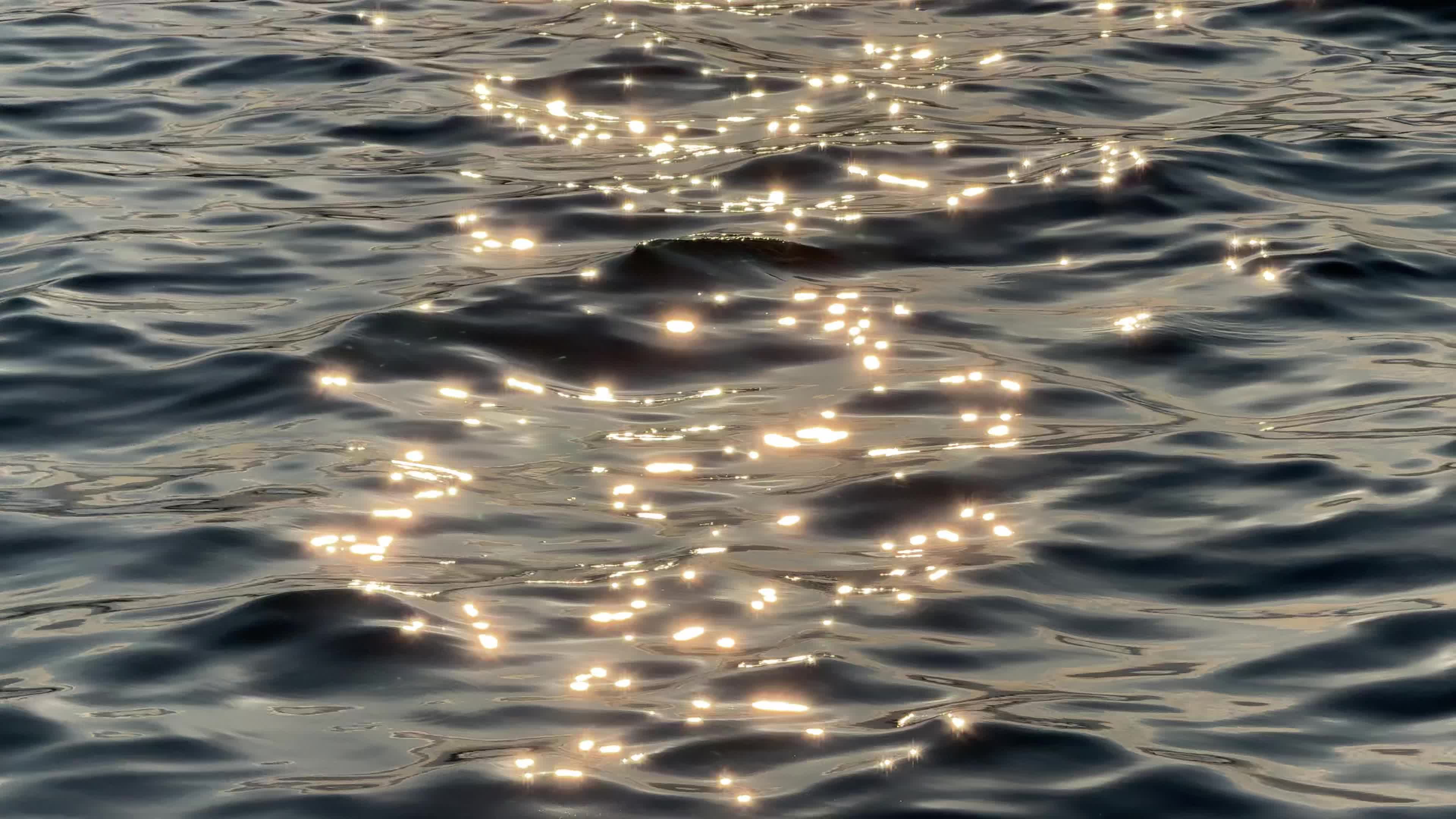 Sparkling Sunlight Reflecting on Calm Water Free Stock Video Footage ...
