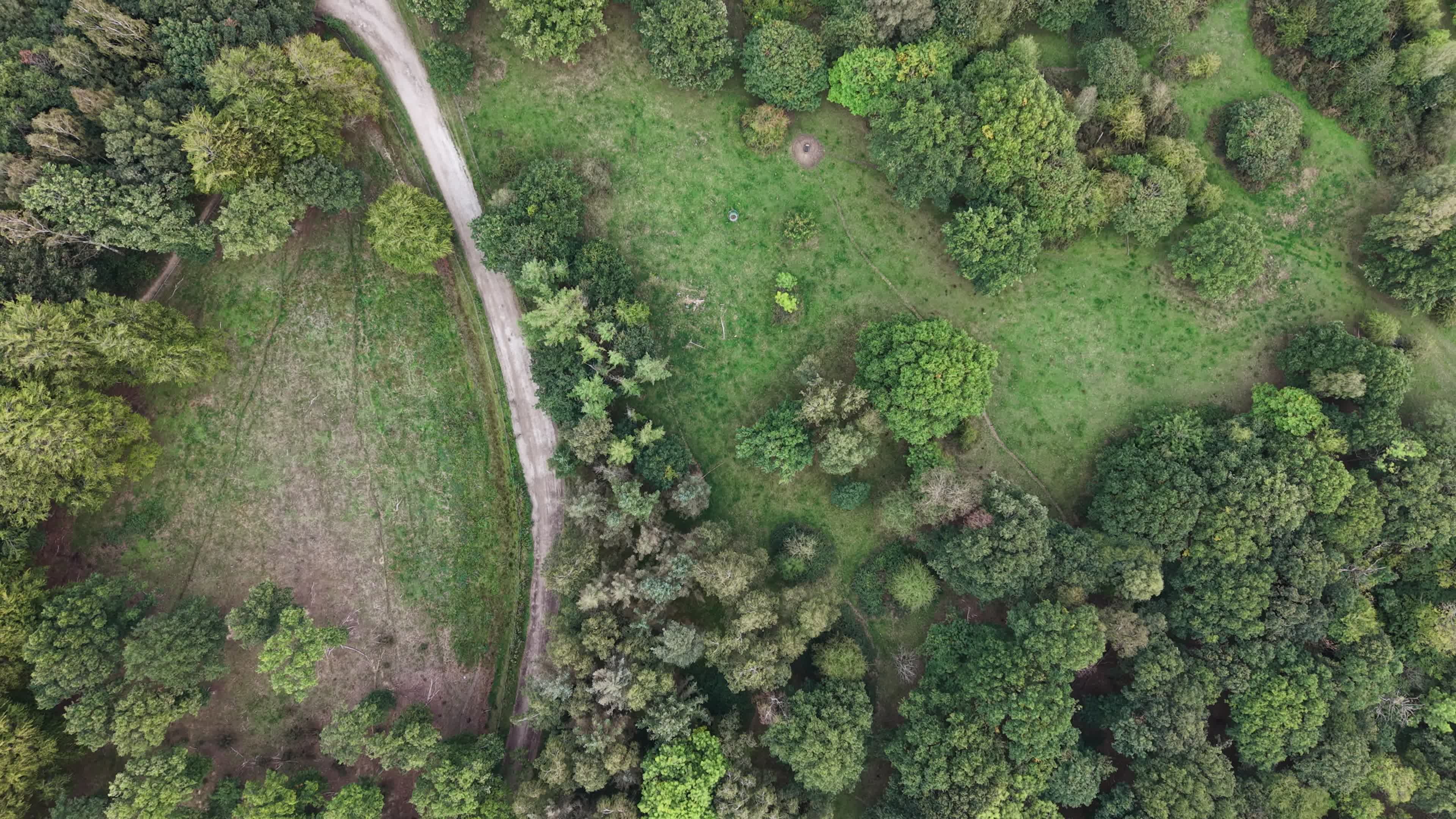 Aerial View of Lush Green Forest Landscape Free Stock Video Footage ...