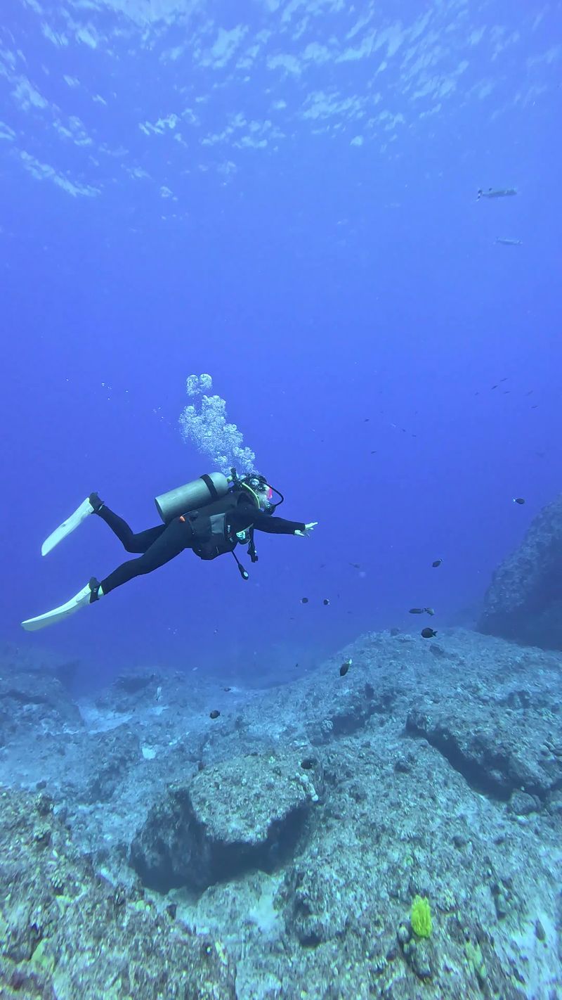 Scuba Diver Exploring Coral Reef Underwater Free Stock Video Footage ...