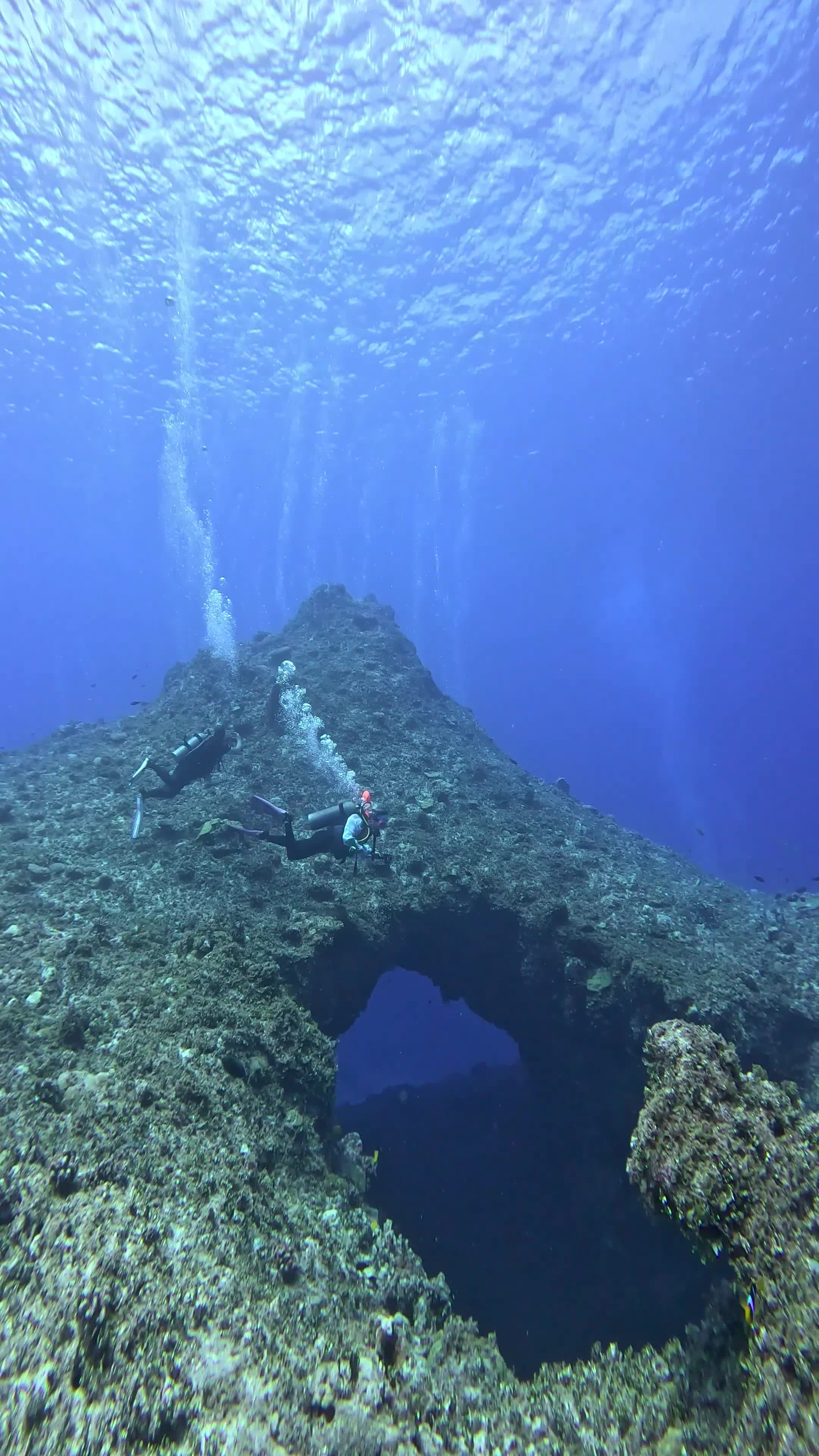 scuba diver exploring sunken shipwreck underwater 33983232 — free pexels stock footage