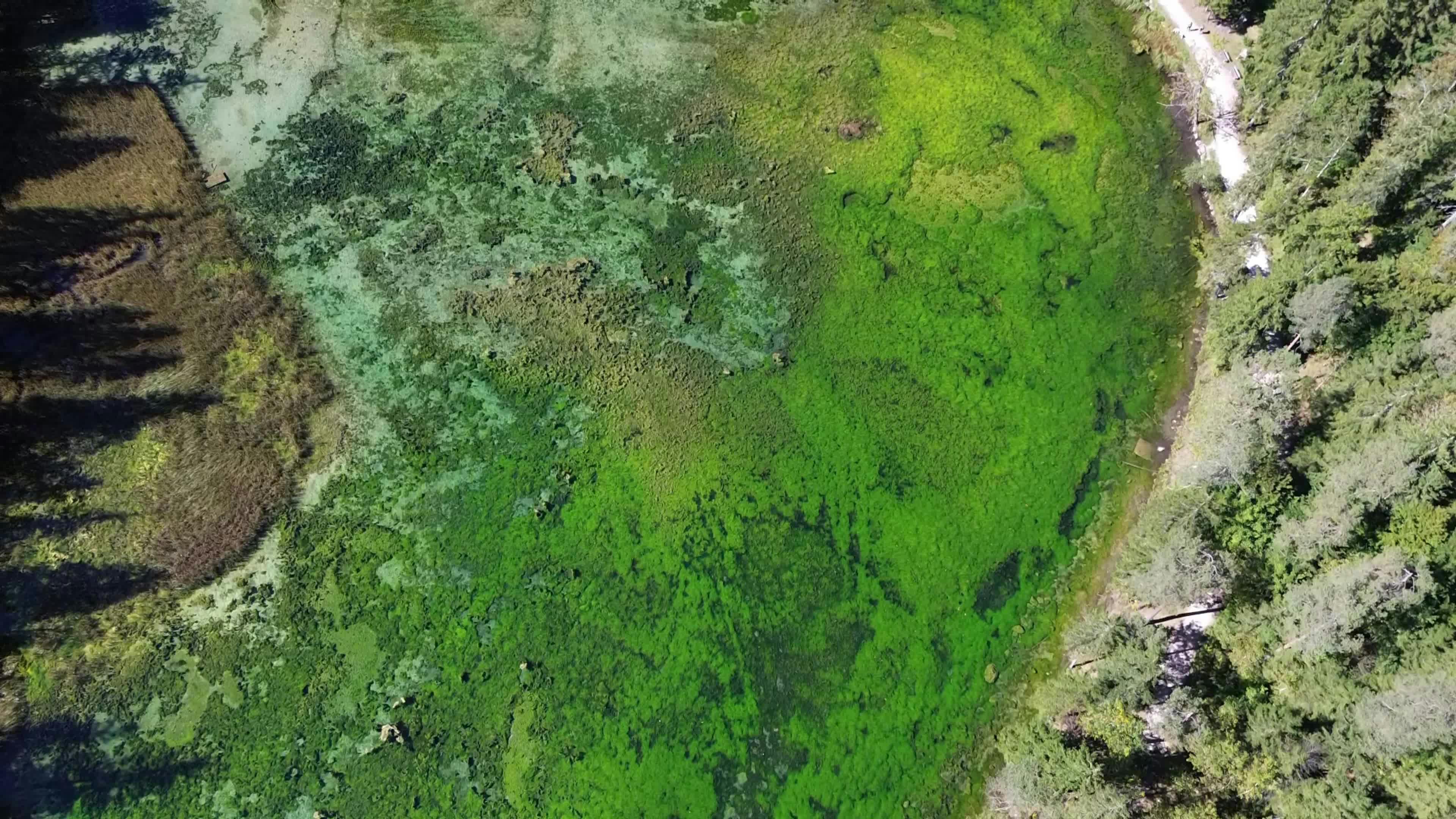 Video by Austria by Öffis