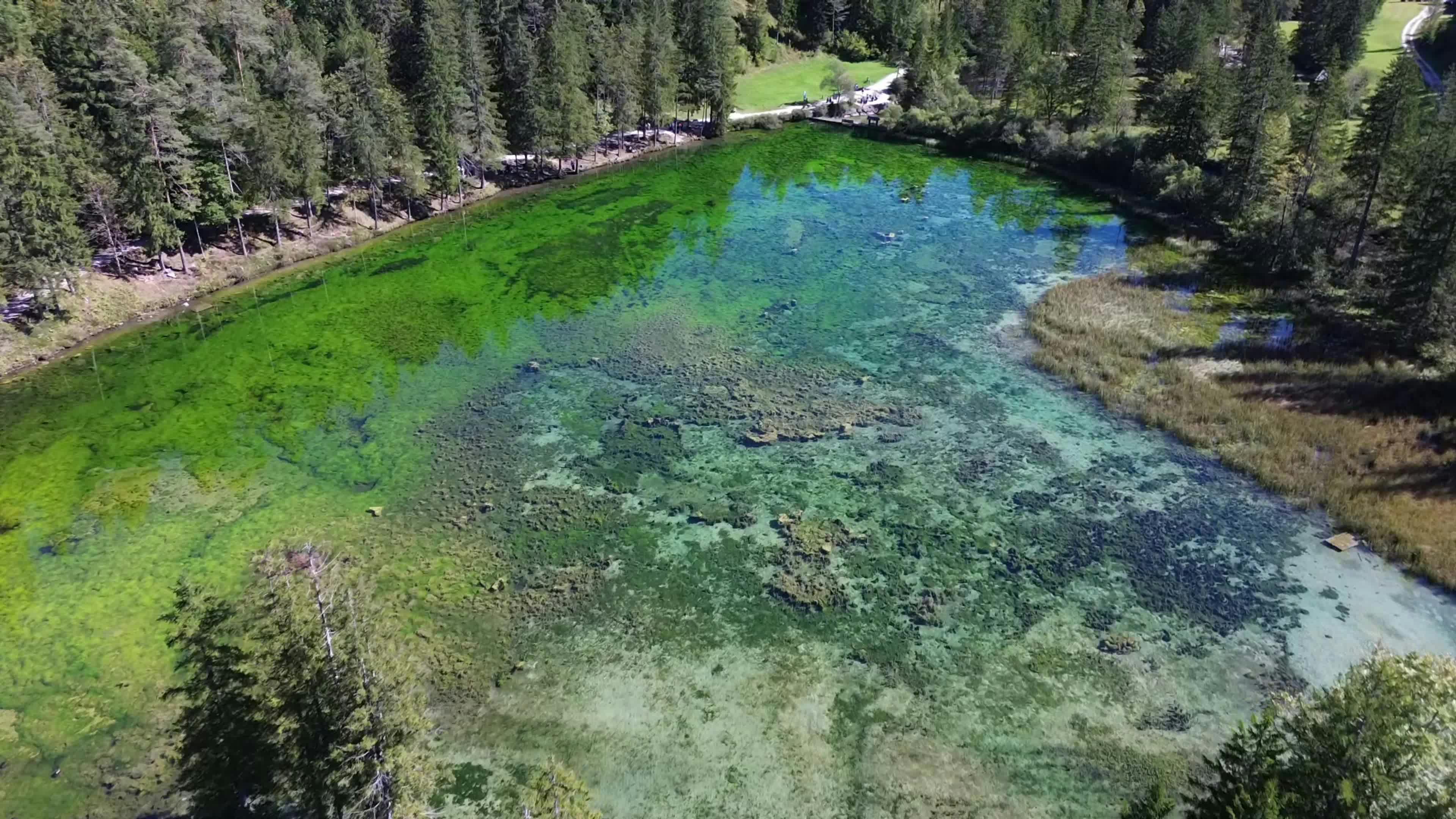 Video by Austria by Öffis