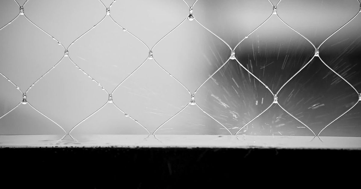 Pexels Video 34002517
