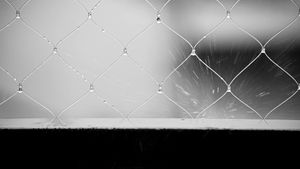 Xxbf+Video Videos, Download The BEST Free 4k Stock Video Footage & Xxbf ...