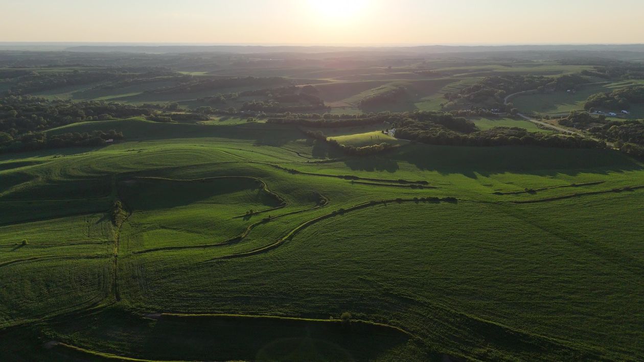 Aerial View of Lush Green Crop Fields at Sunrise Free Stock Video ...
