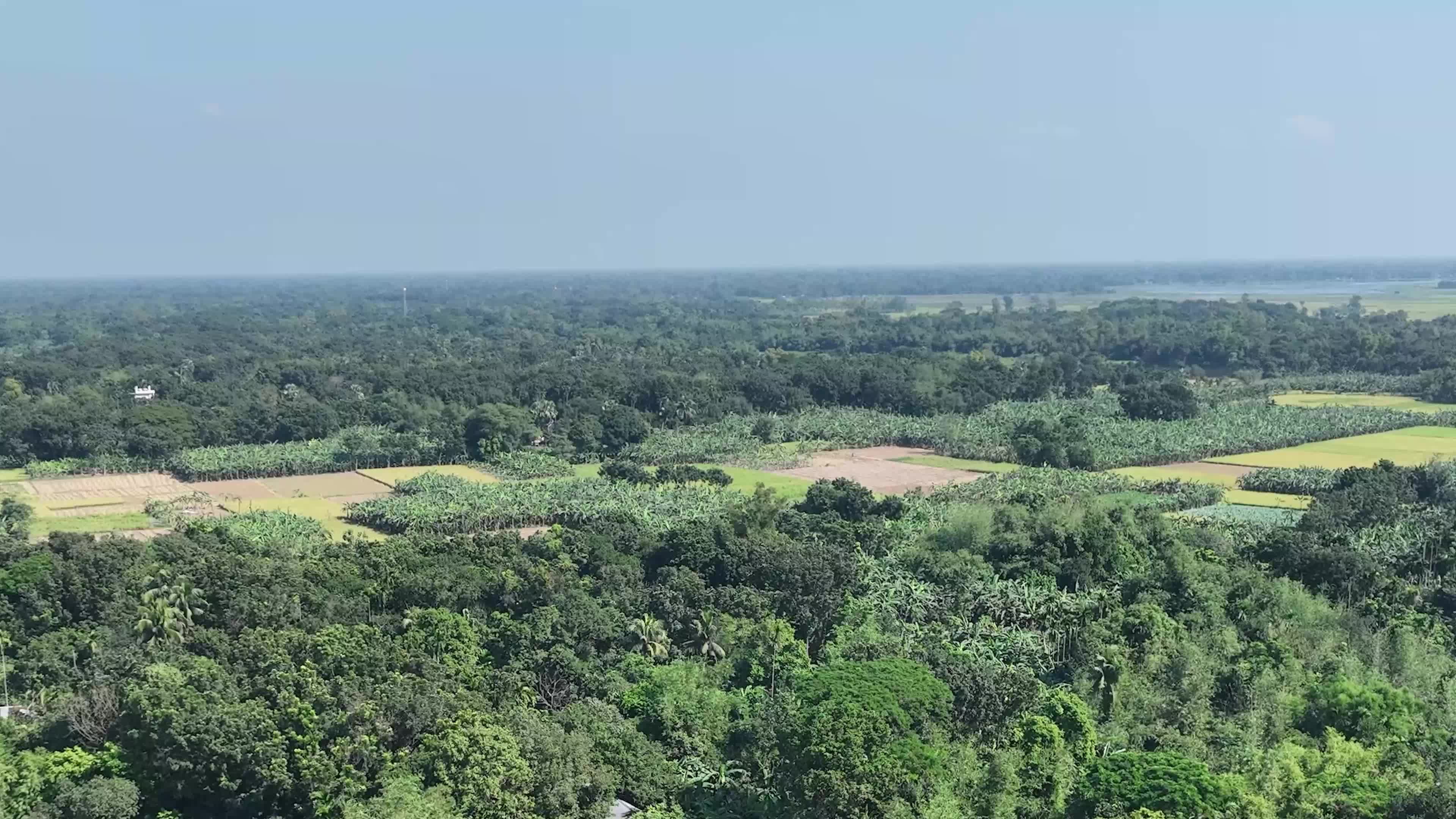 Lush Green Aerial View of Rural Bangladesh Free Stock Video Footage ...
