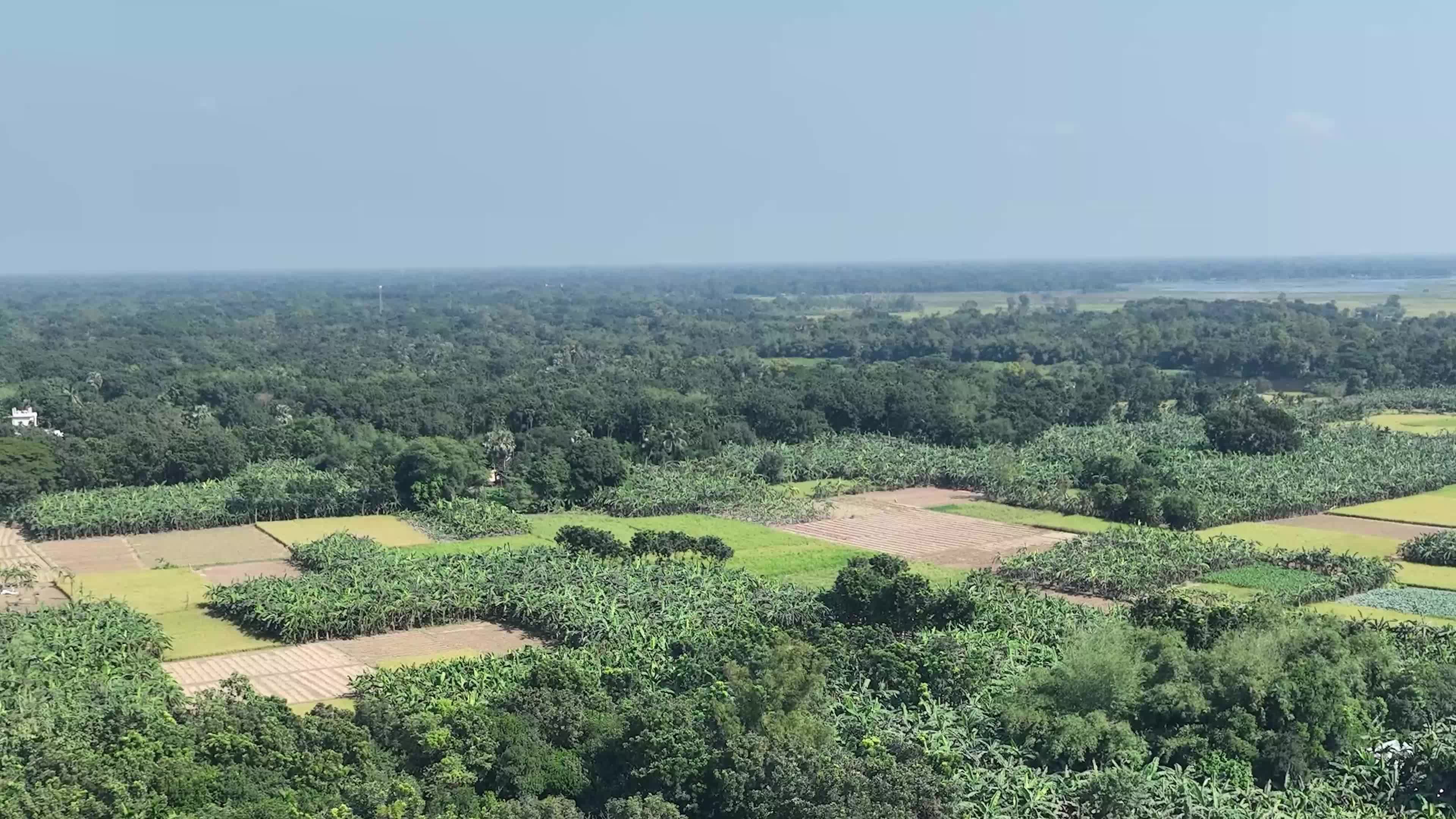 Scenic Aerial View of Bangladesh's Lush Landscape Free Stock Video ...