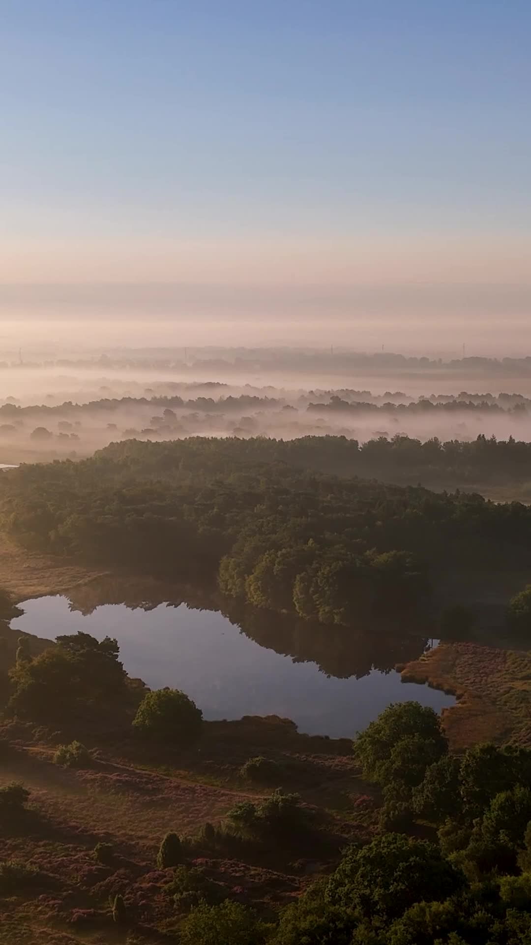 Serene Aerial View of Foggy Wetlands at Sunrise Free Stock Video ...