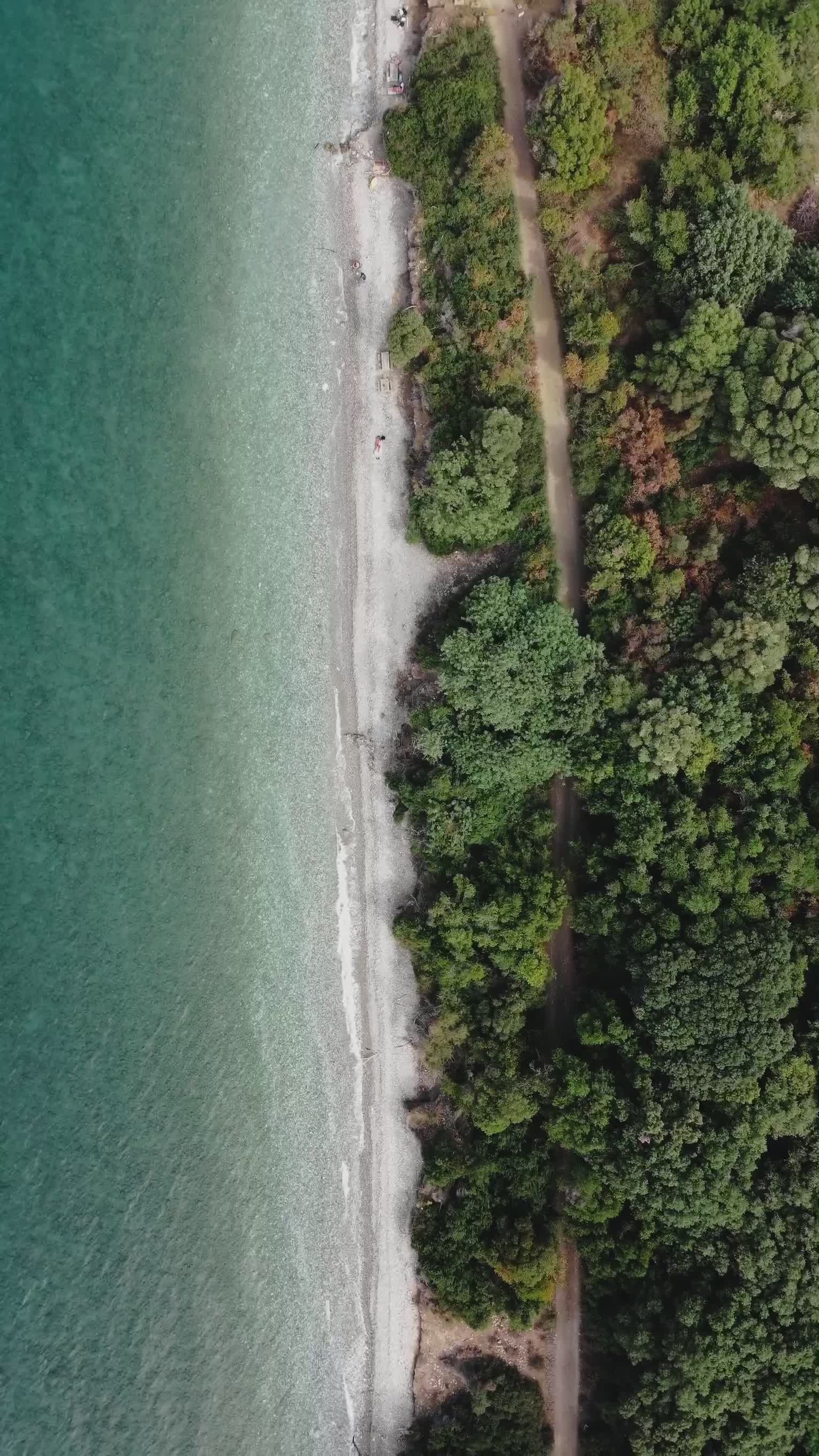 Drone View of Coastal Forest and Beach Free Stock Video Footage ...