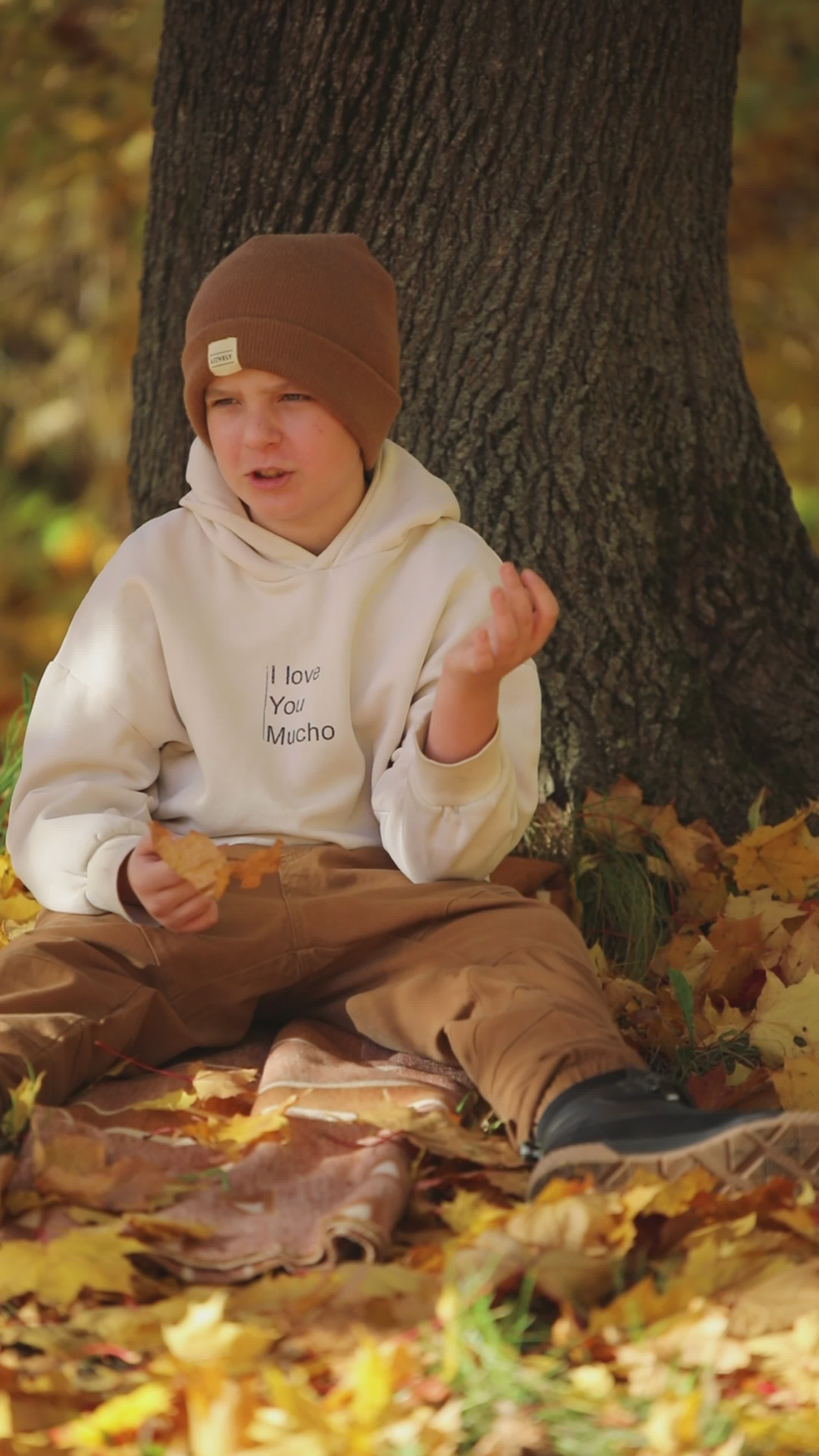 Boy Enjoying Autumn Leaves Under Tree Free Stock Video Footage, Royalty ...