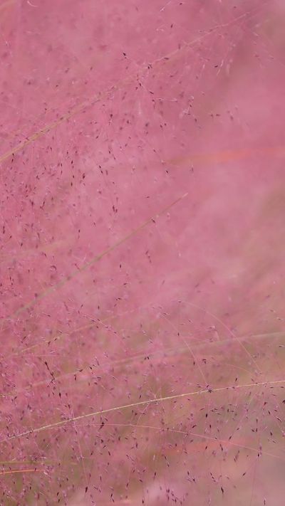 정규송 Nui MALAMA's abstract art motion video