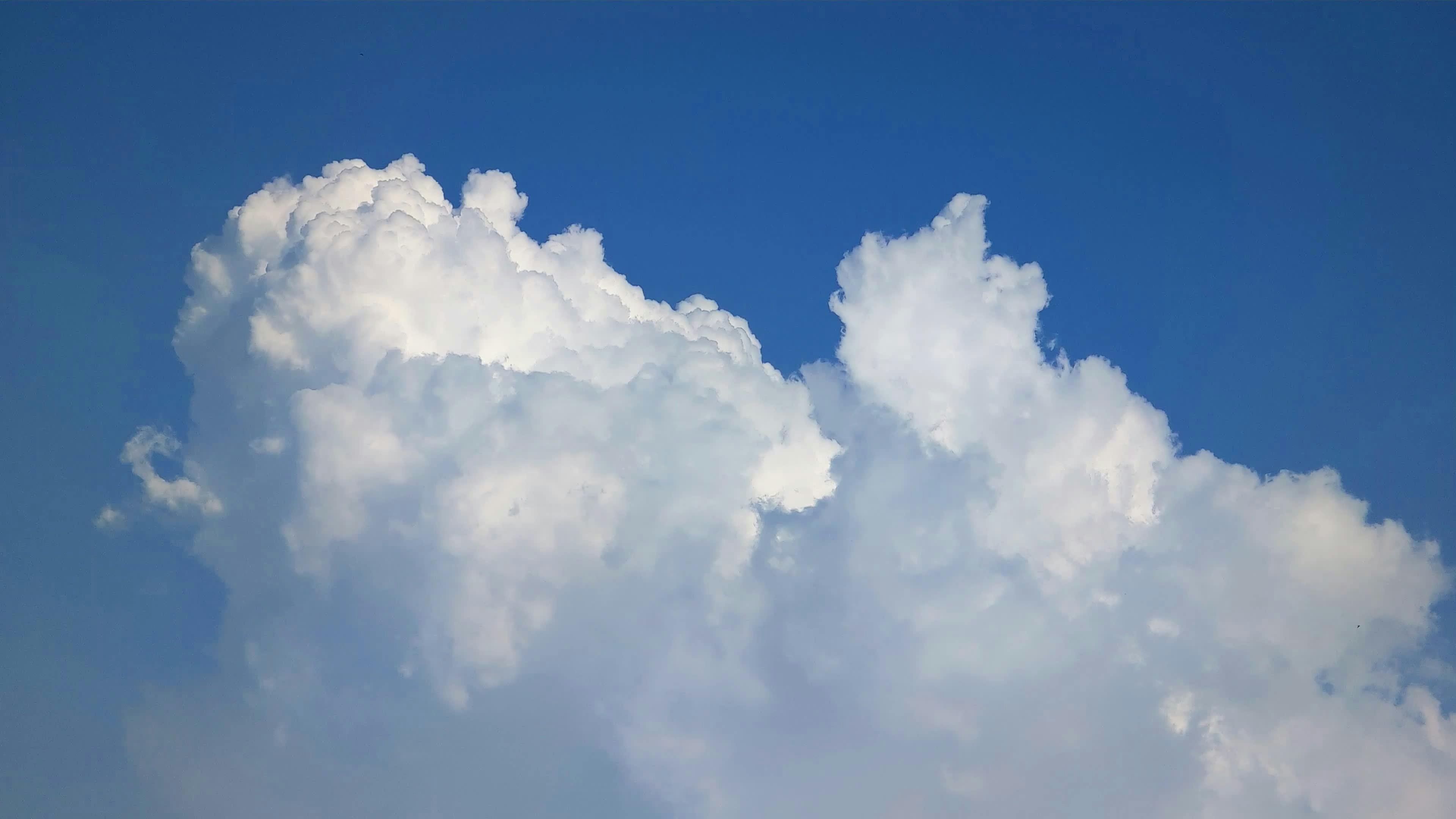 Video by Larkkid Dung