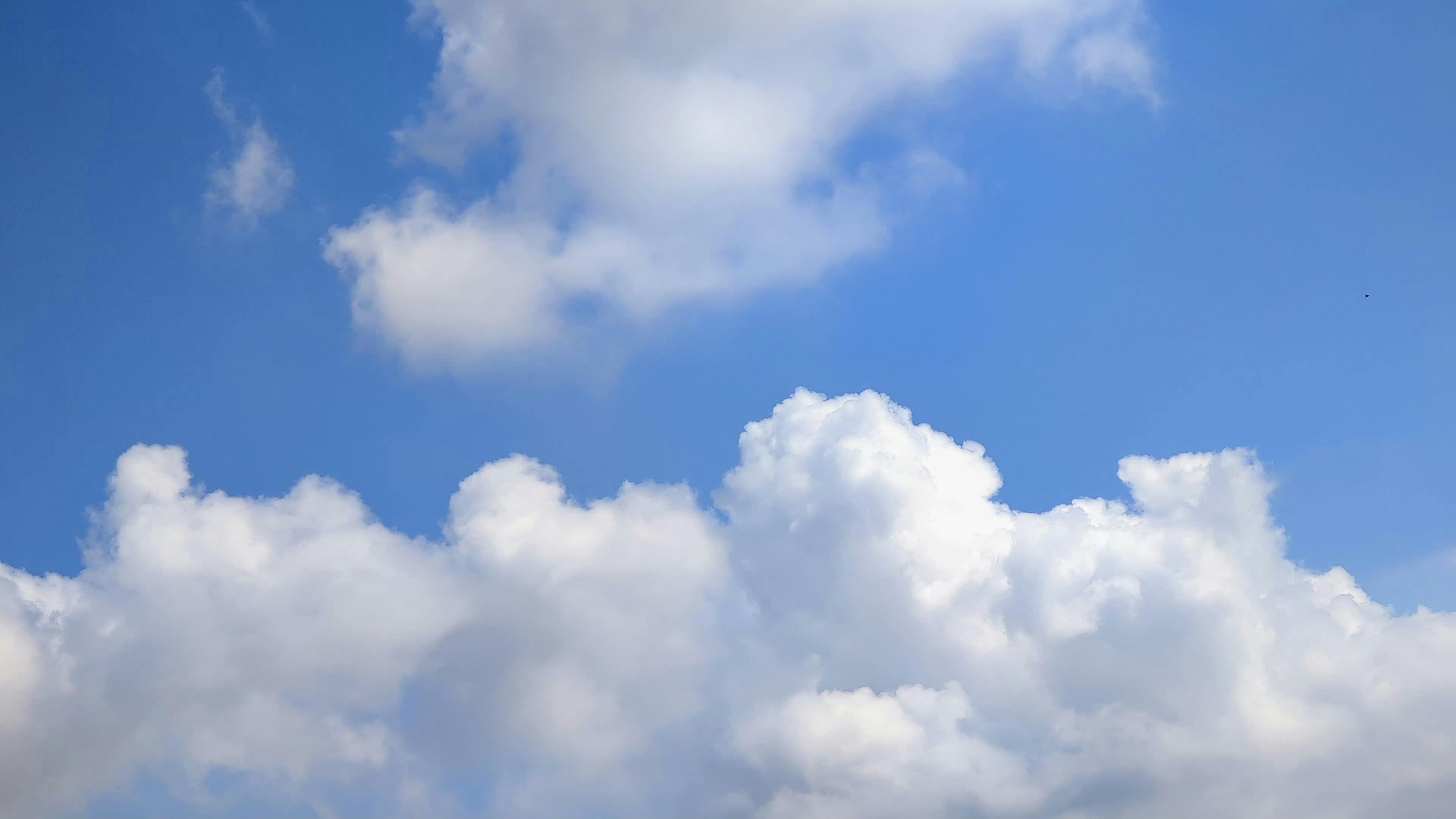 Video by Larkkid Dung