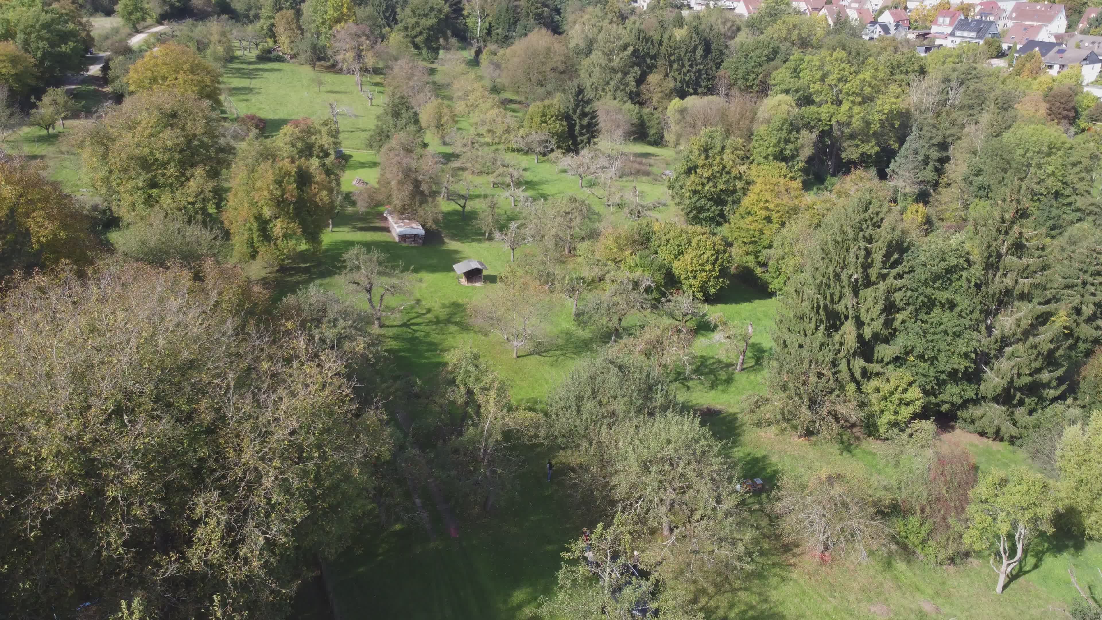 Serene Aerial View of Lush Green Countryside Free Stock Video Footage ...
