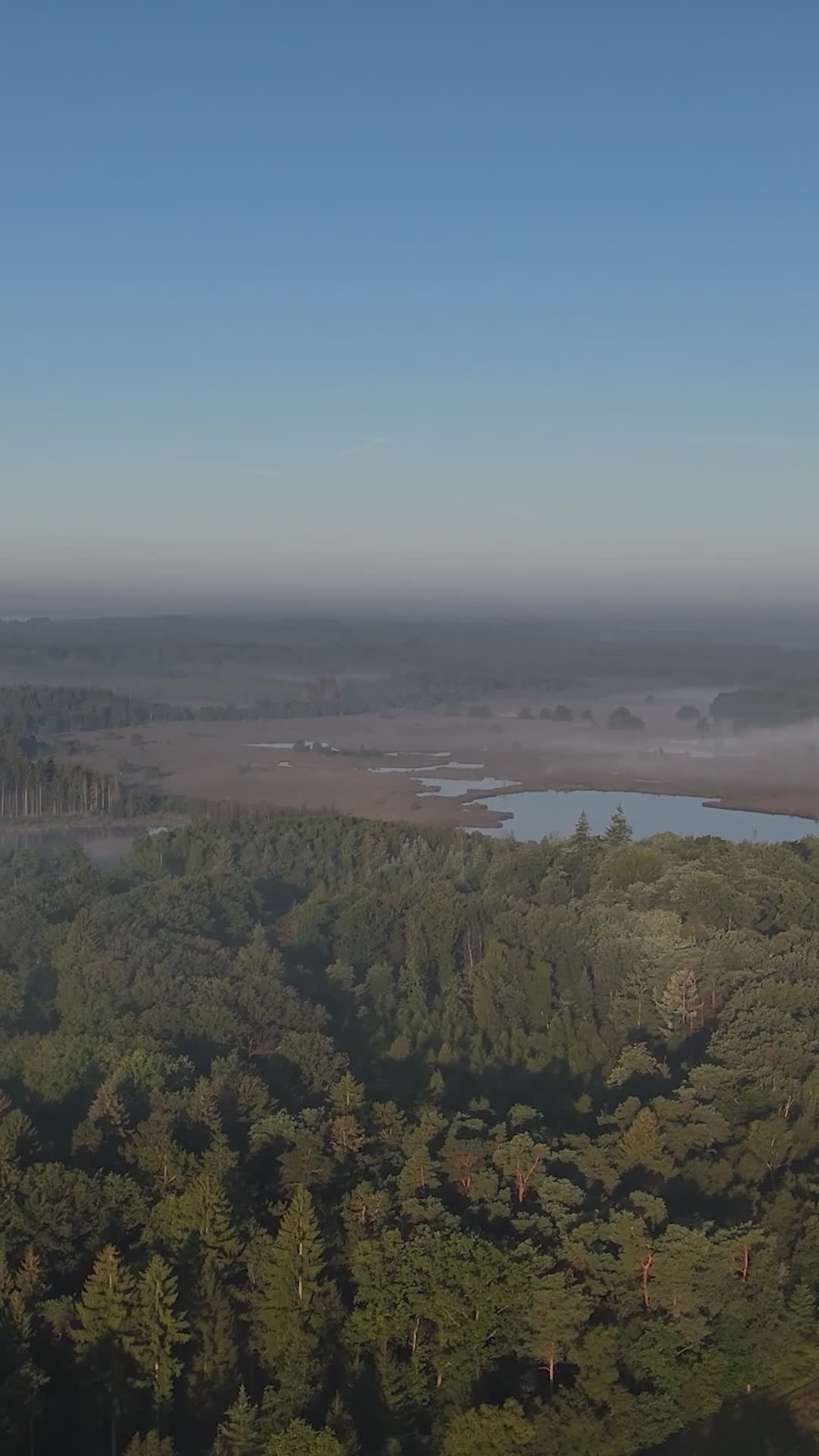 Serene Aerial View of Forest and Lake Landscape Free Stock Video ...