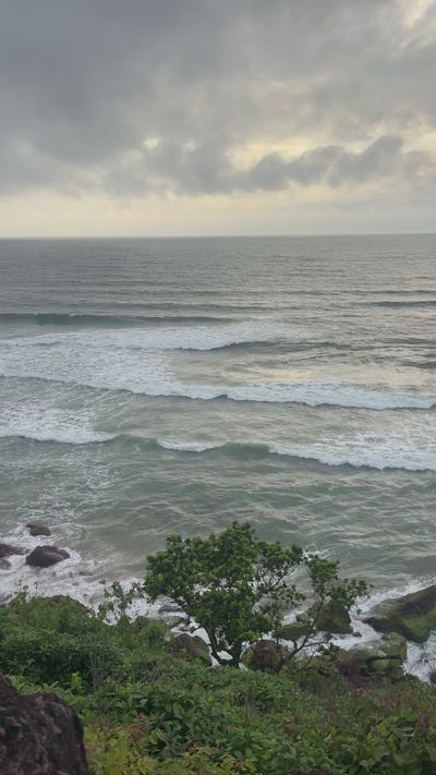 Rahul H Kambad's nature timelapse video
