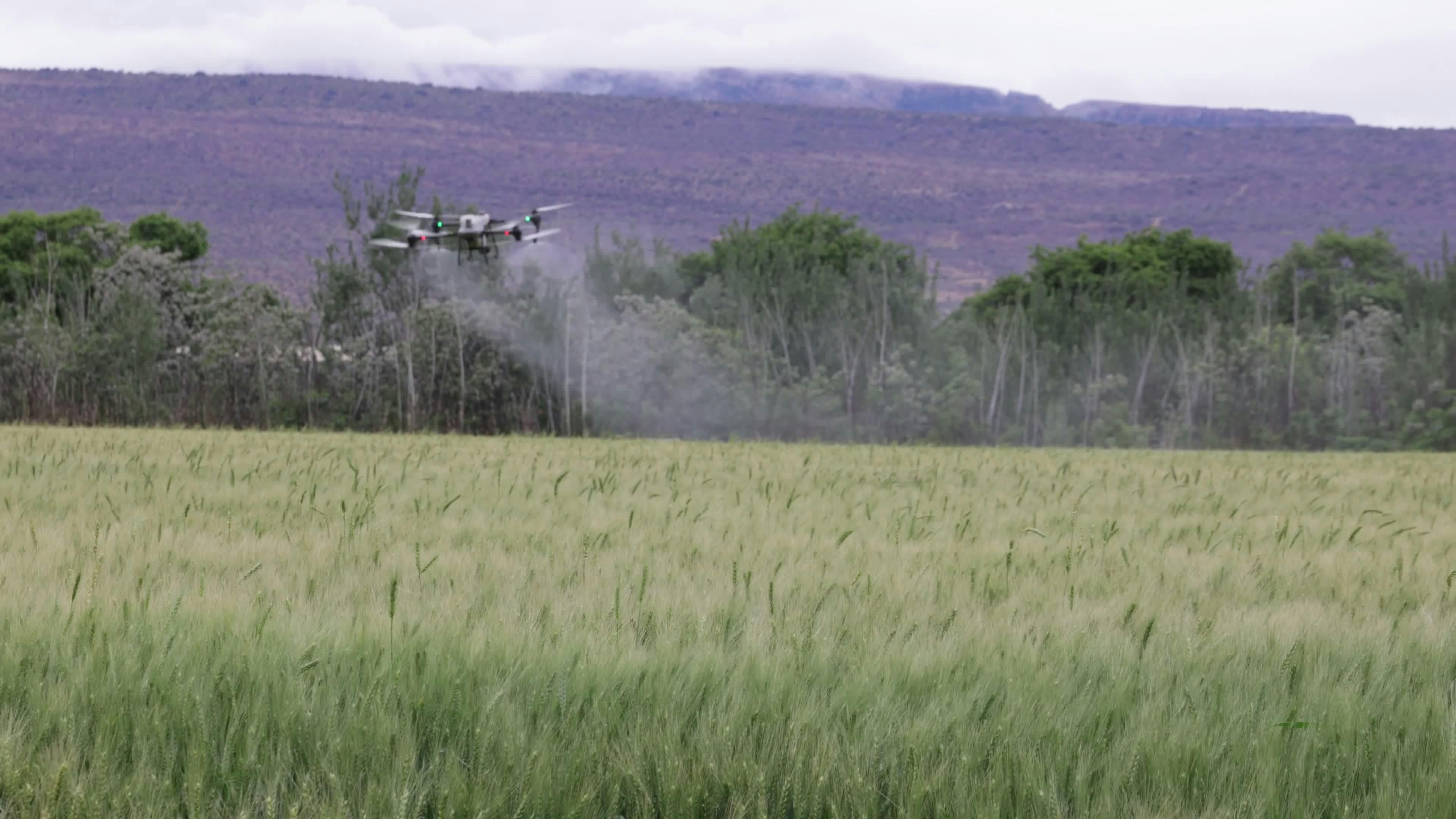 aerial drone spraying technology on farm field 34182418