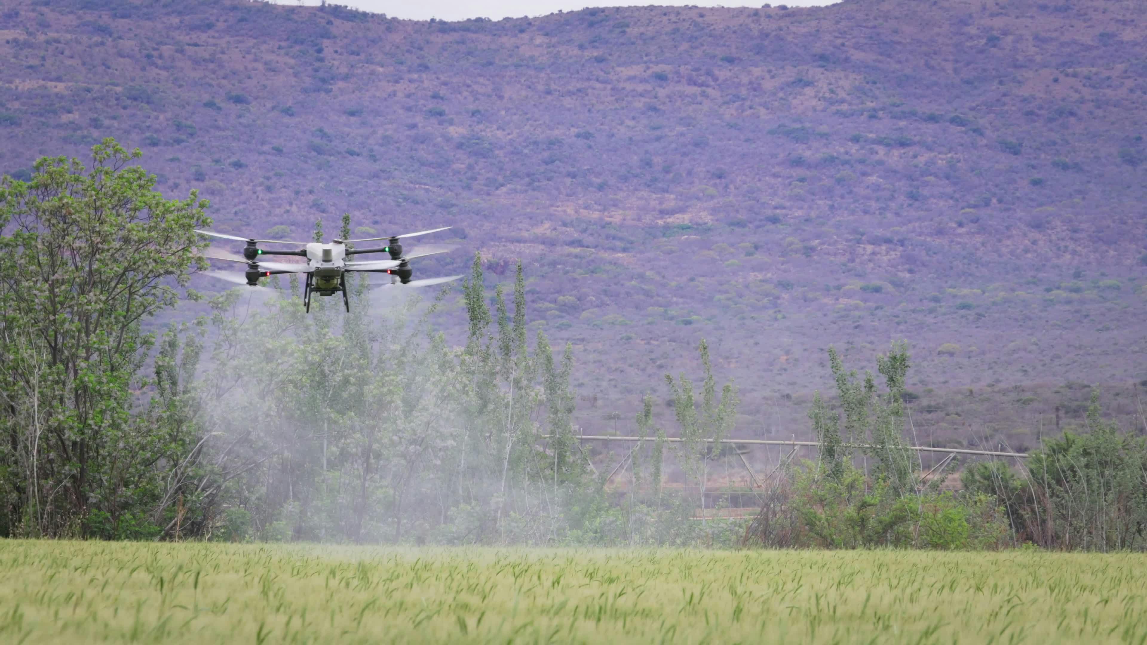 Video by Magda Ehlers