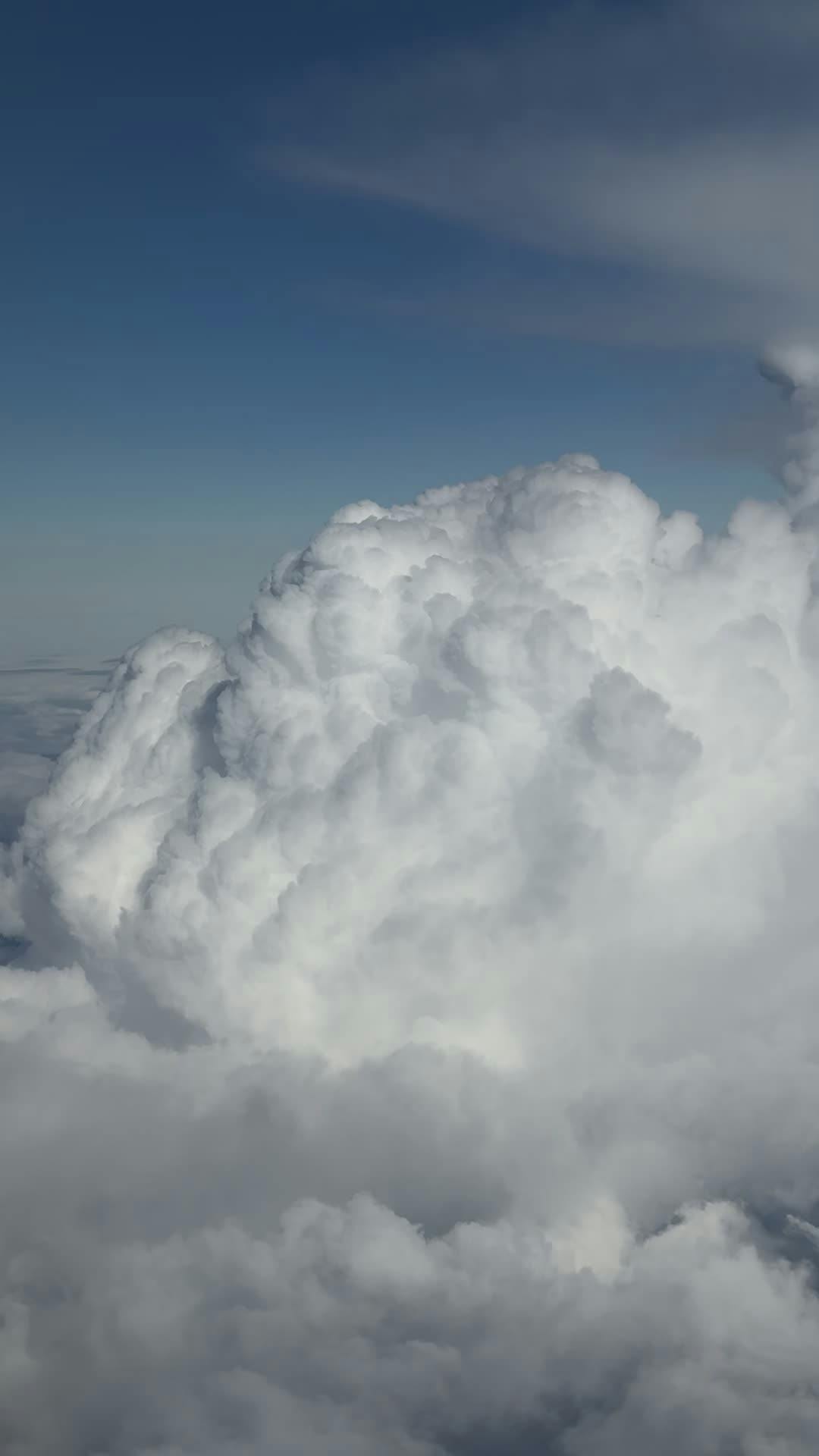 Video by Natalie Birdy