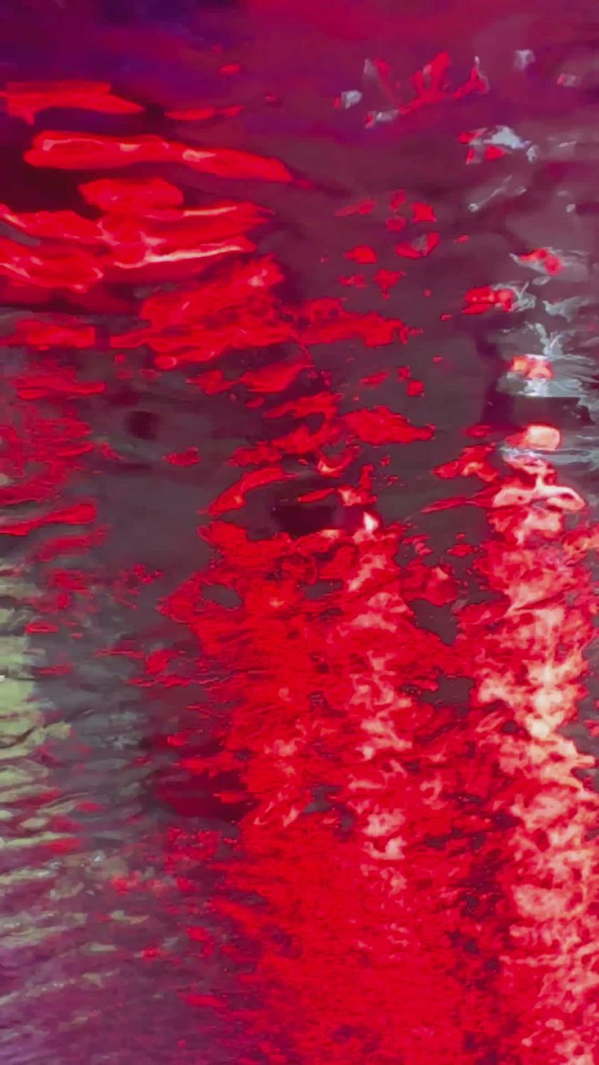 Vibrant Abstract Red Water Reflection Free Stock Video Footage, Royalty ...