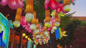 中秋高清视频视频素材