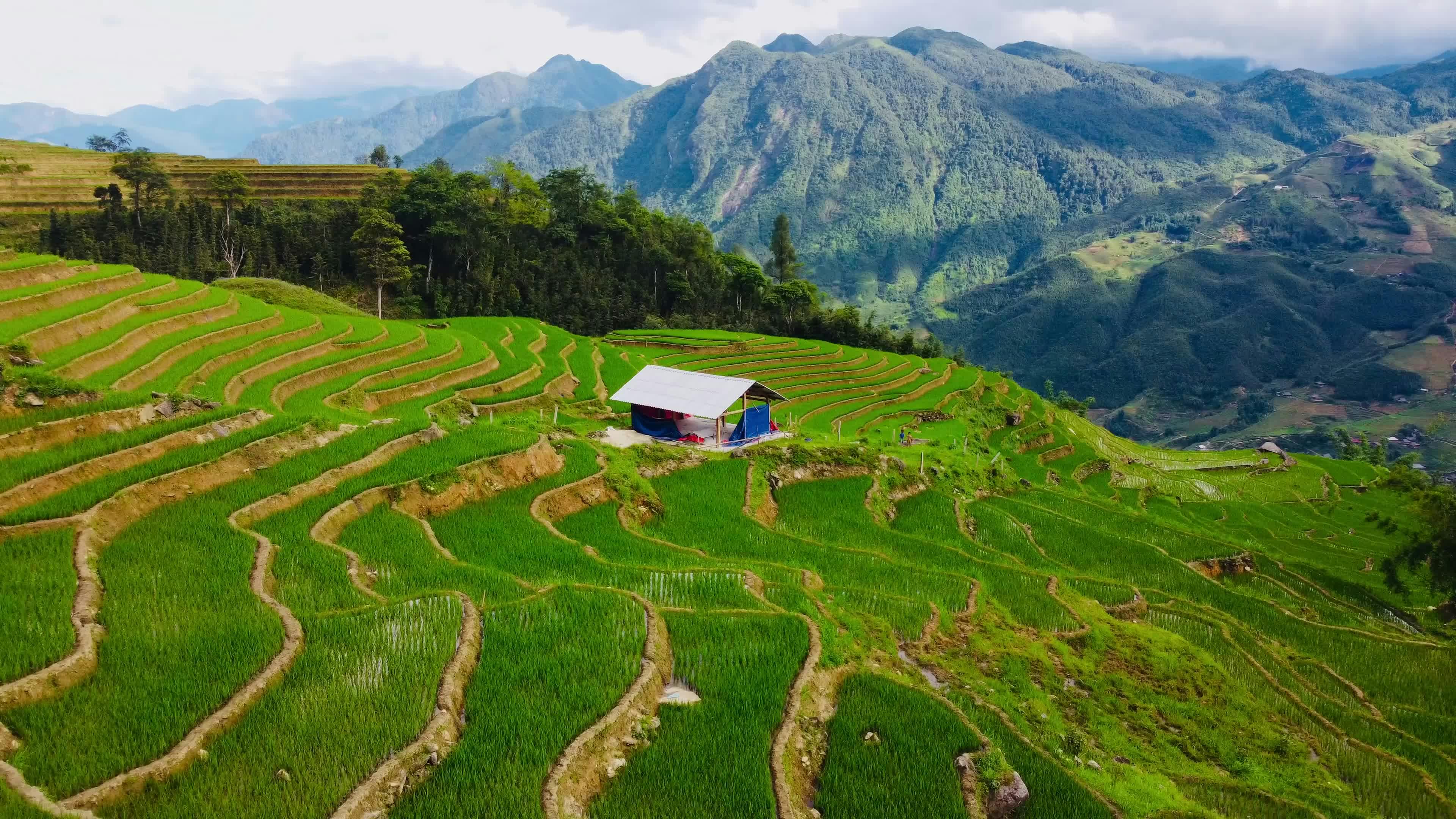 Video by Chảo láo Lở