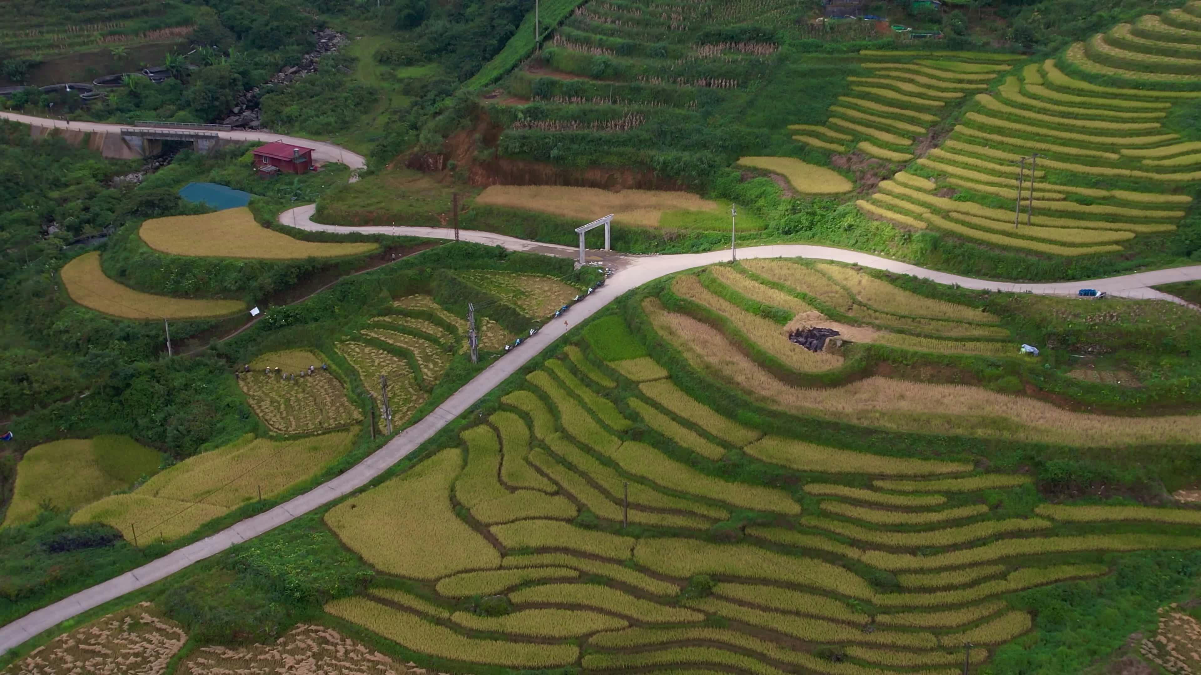 Video by Chảo láo Lở