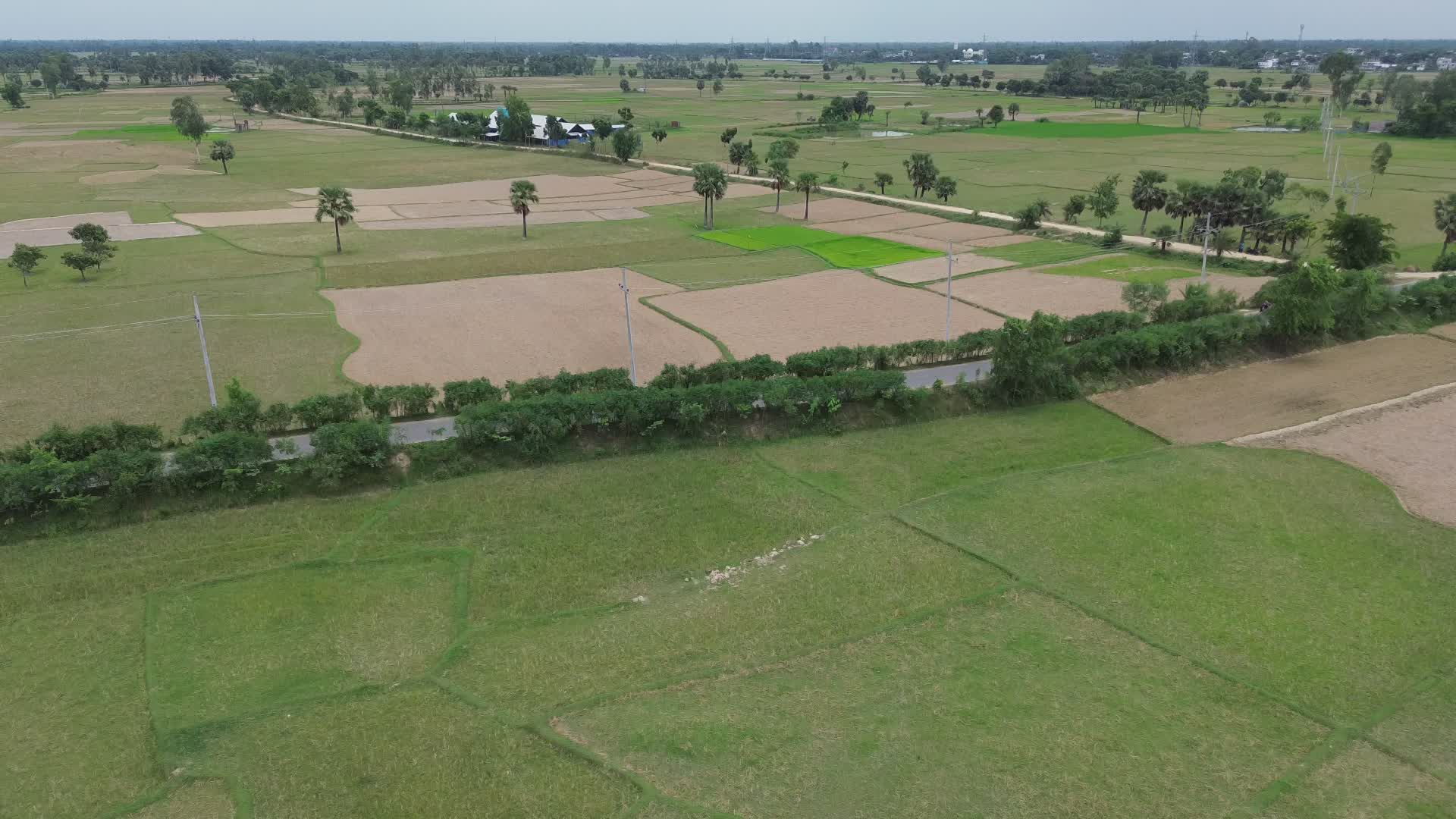 Aerial View of Bangladesh Rice Fields Free Stock Video Footage, Royalty ...