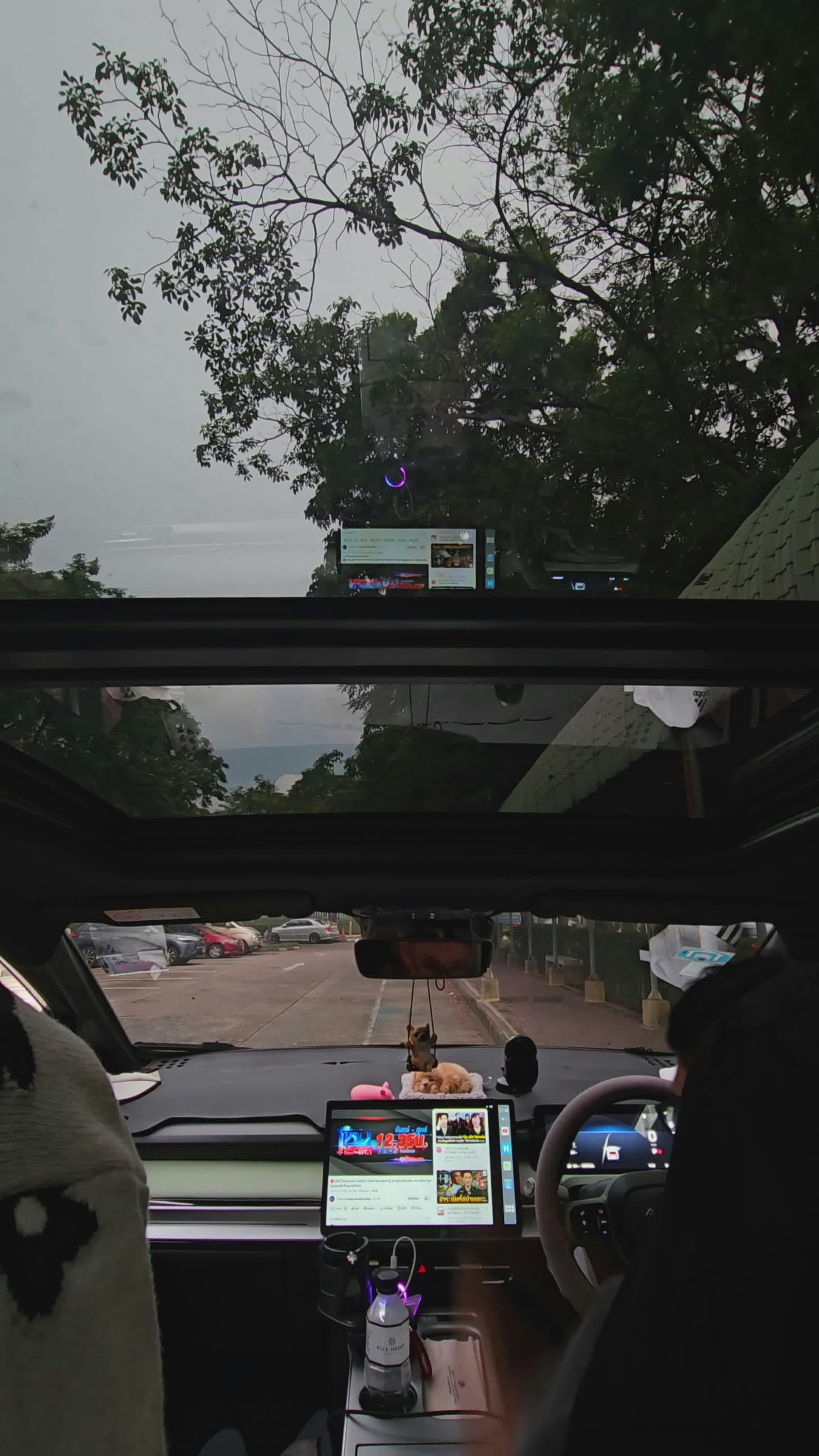 Video by Sapol Churanon