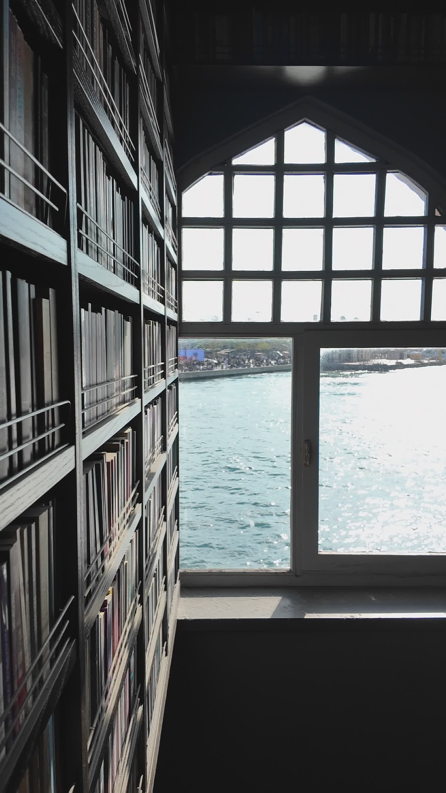 Scenic Istanbul Library View Over Bosphorus Free Stock Video Footage ...