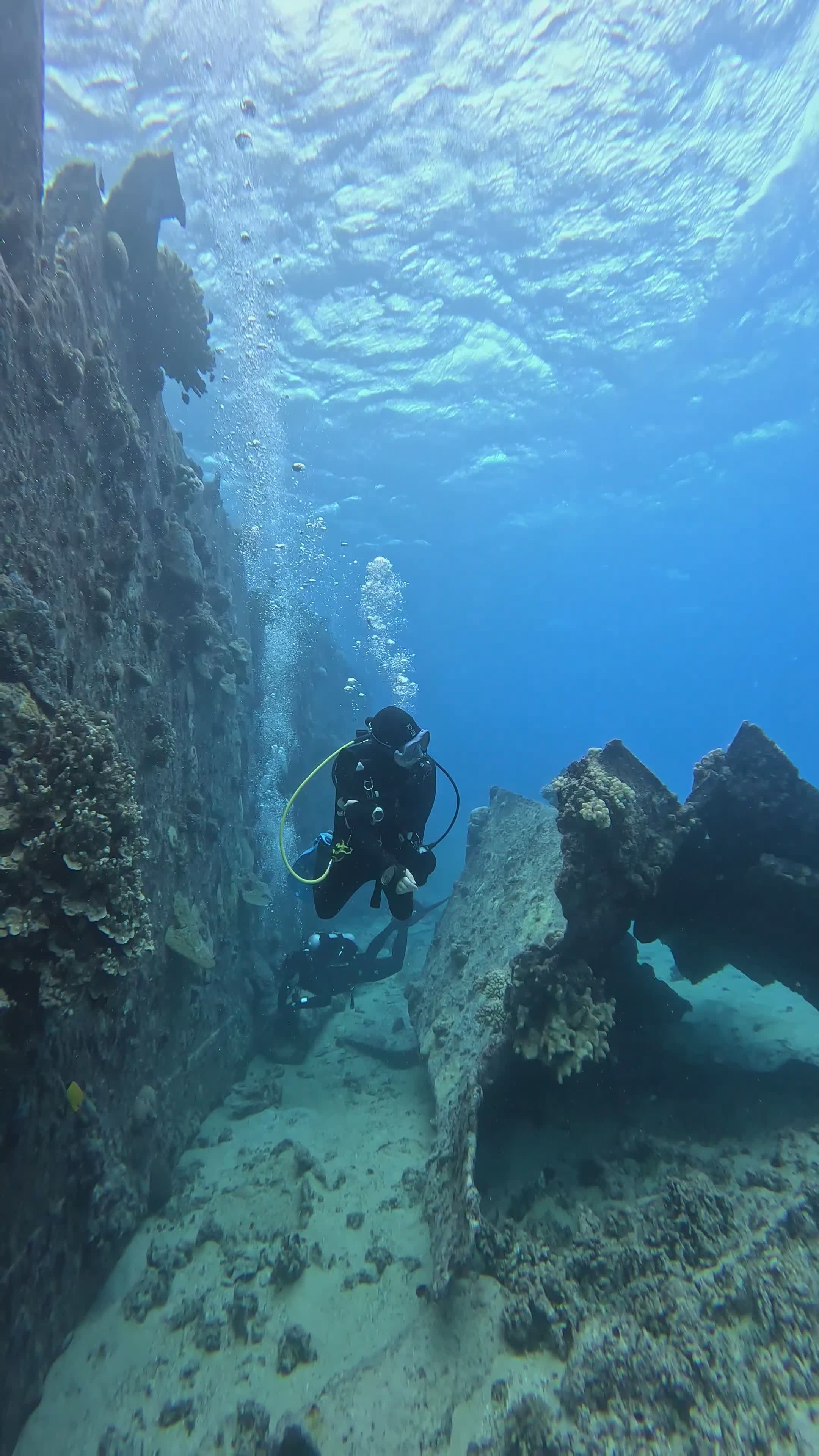 Scuba Diver Exploring Underwater Shipwreck Free Stock Video Footage ...