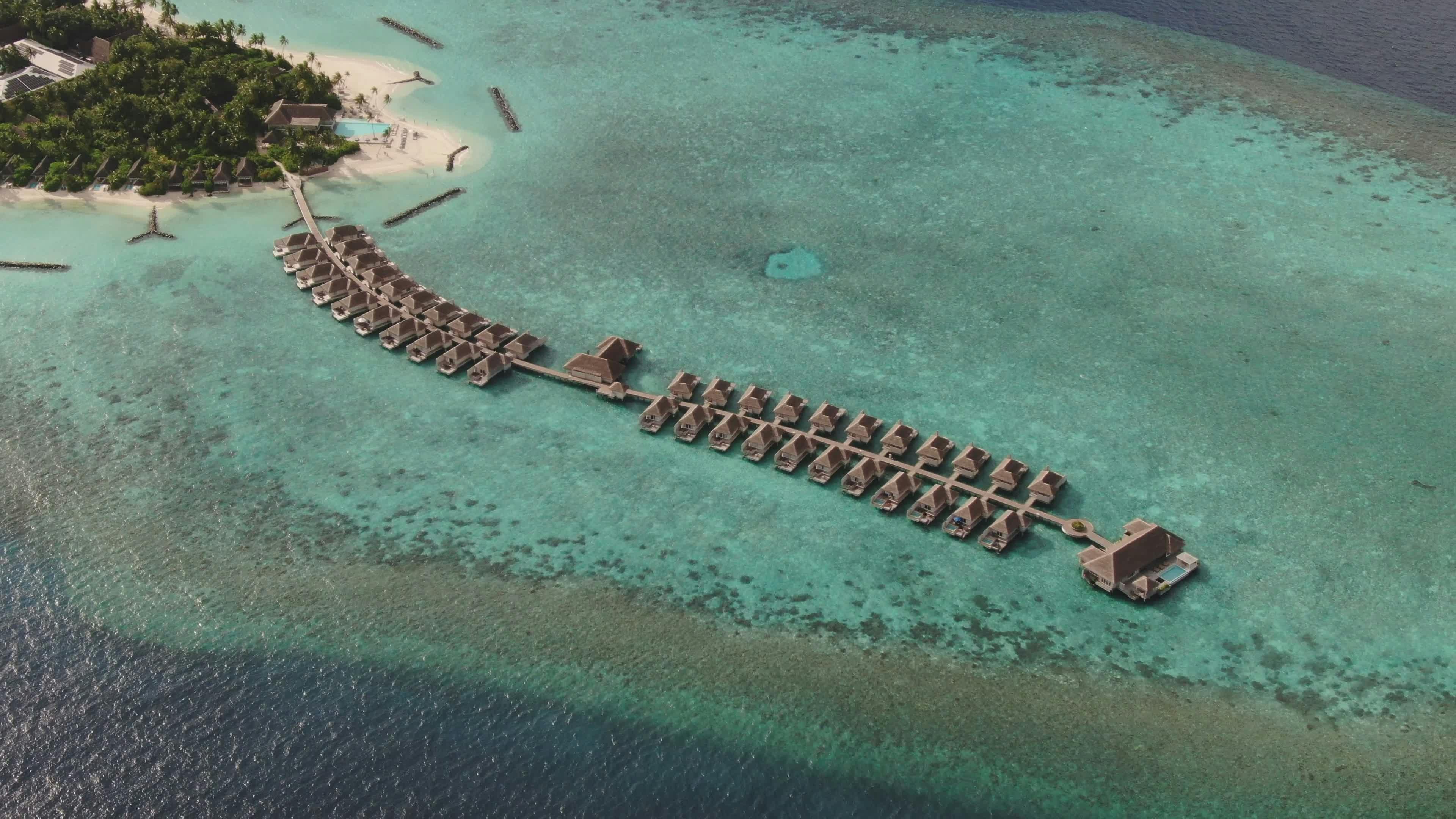 Video by Max Zaharenkov