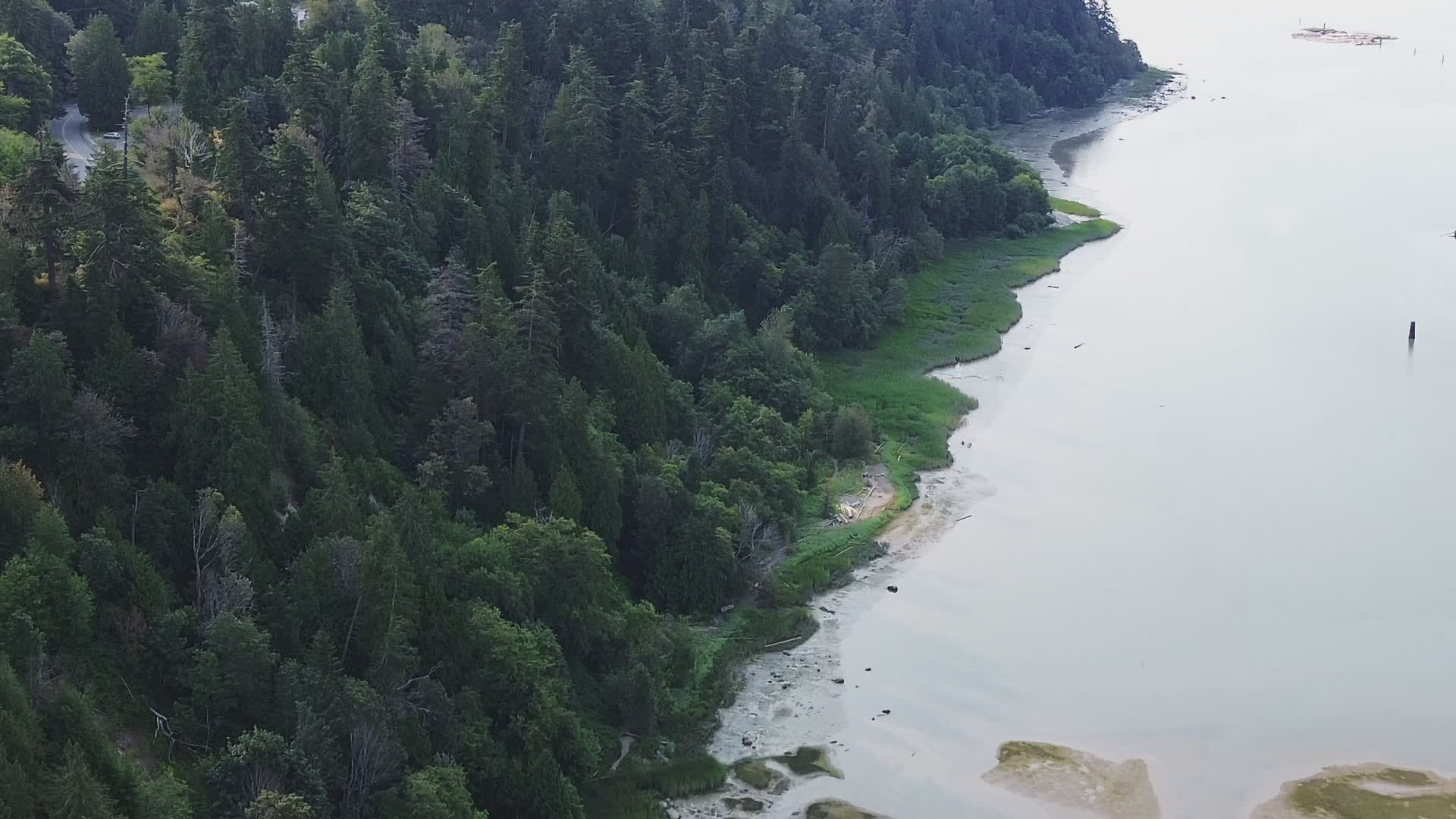 Serene Aerial View of Lush Coastal Forest Free Stock Video Footage ...