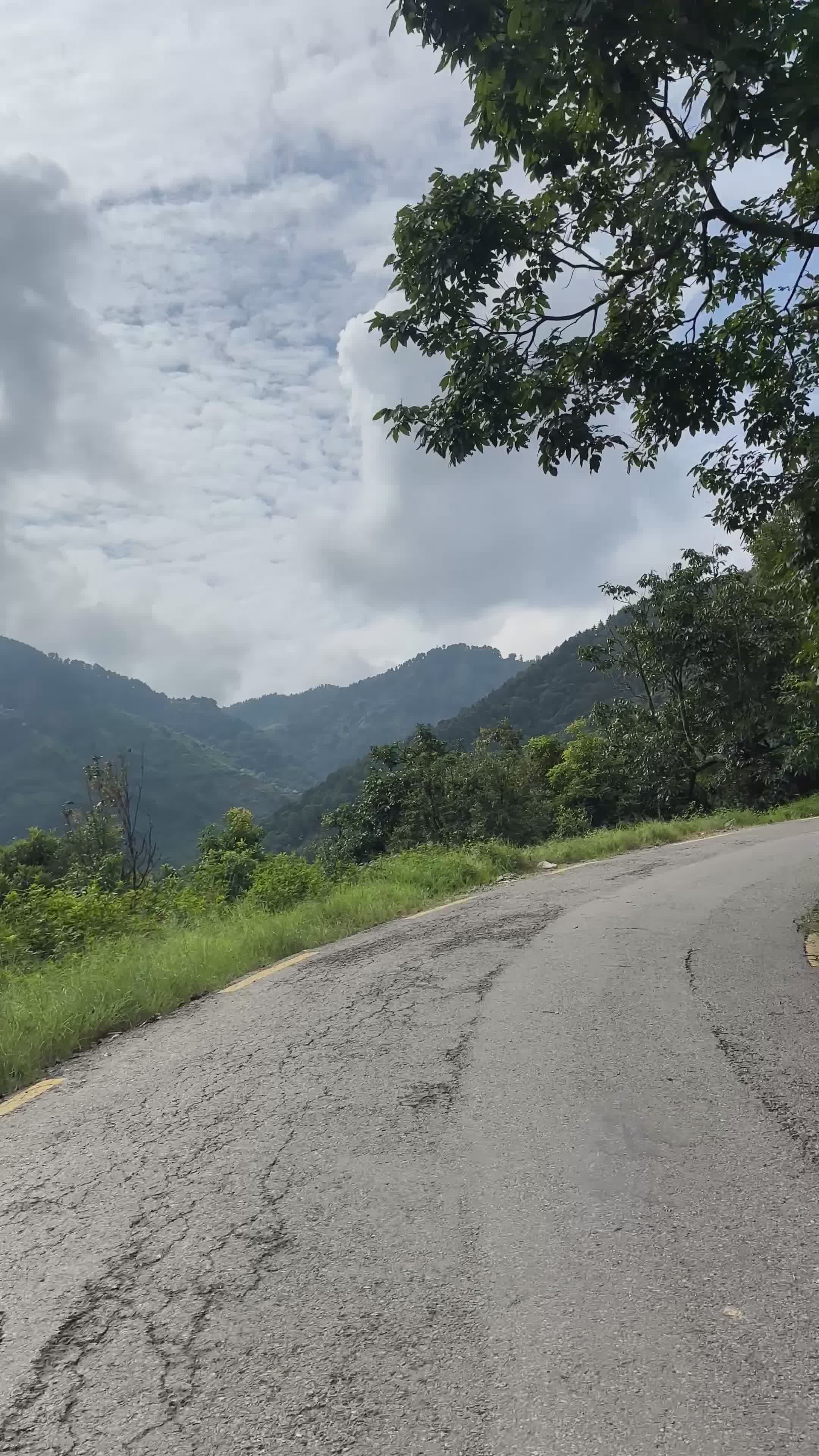 Estrada Serena Na Montanha, Em Meio A Uma Floresta Verdejante. · Vídeo ...