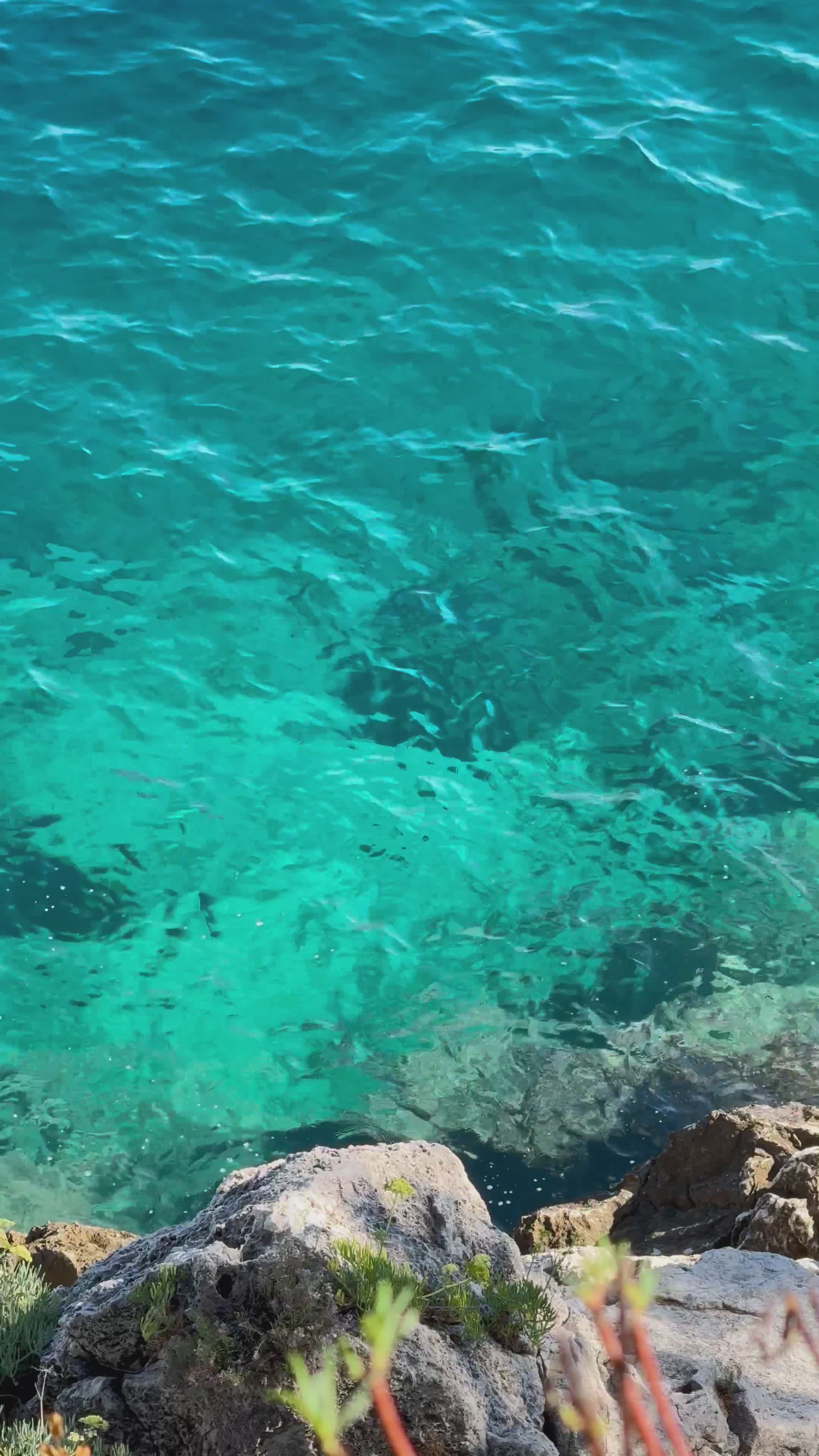 Video by Olga Kobylko