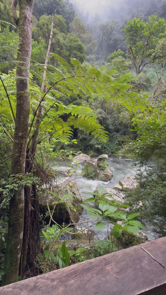 Environment Videos, Download The BEST Free 4k Stock Video Footage ...