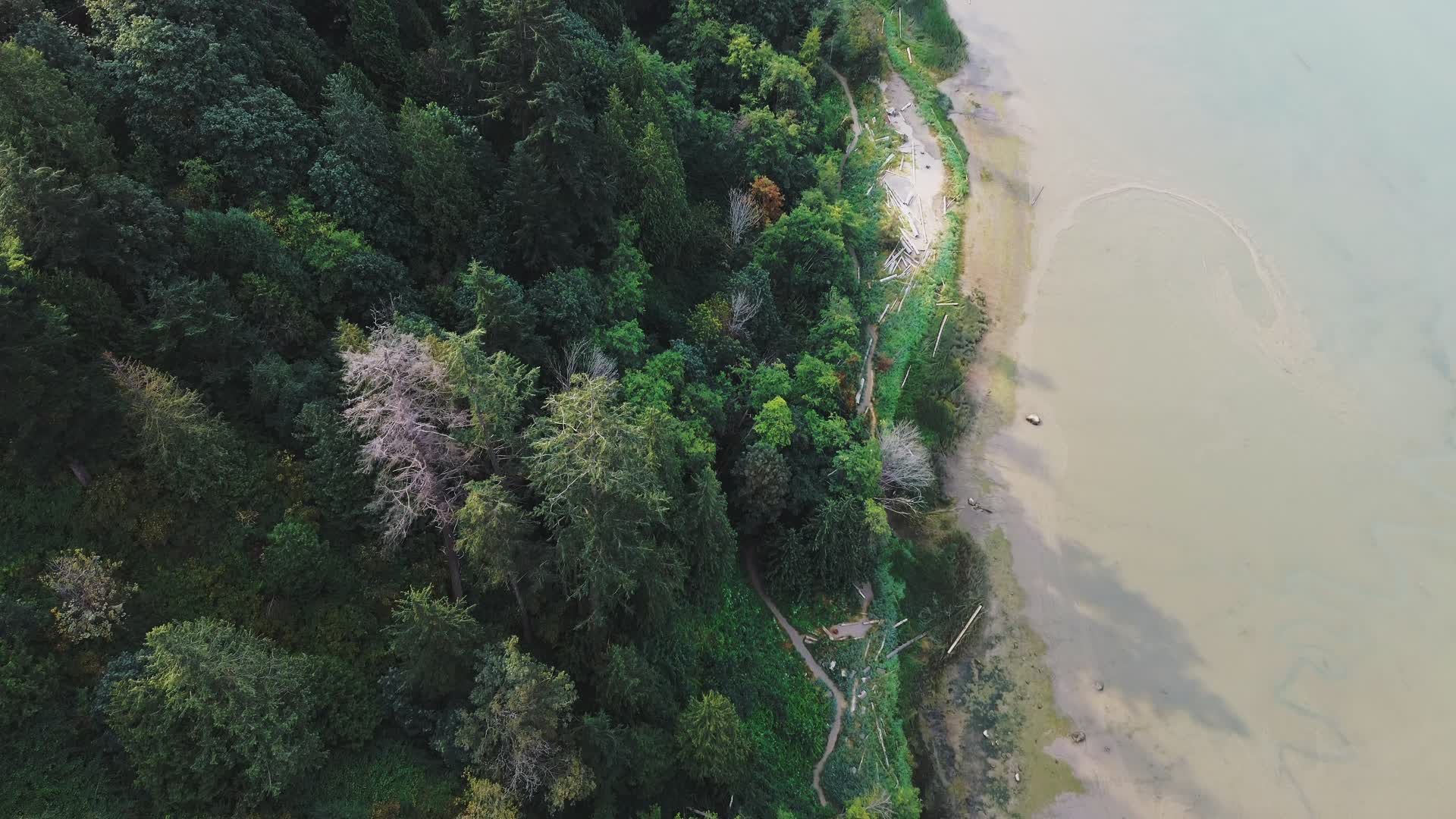Video by Ekam Juneja