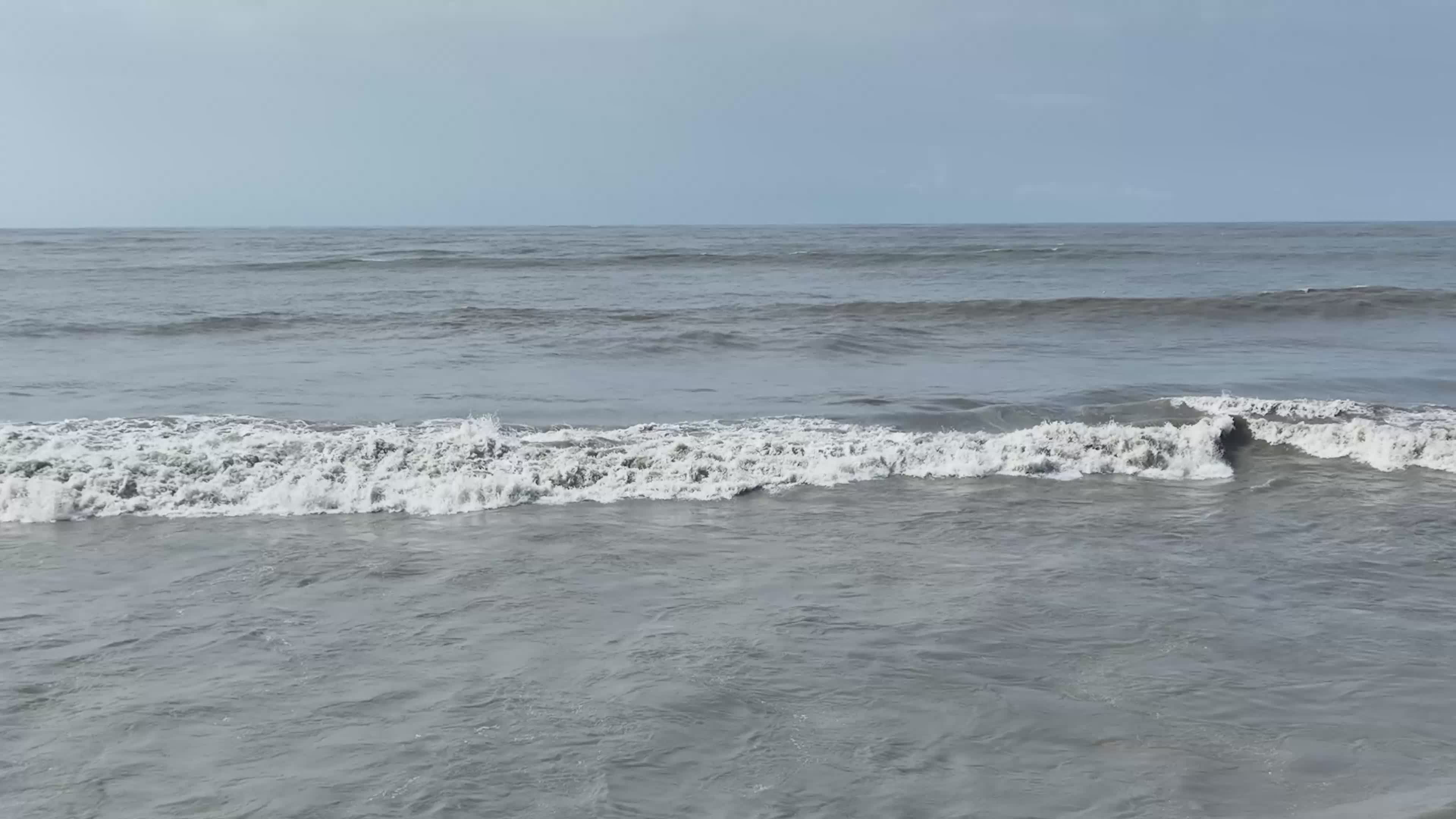 Pexels Video 34239402