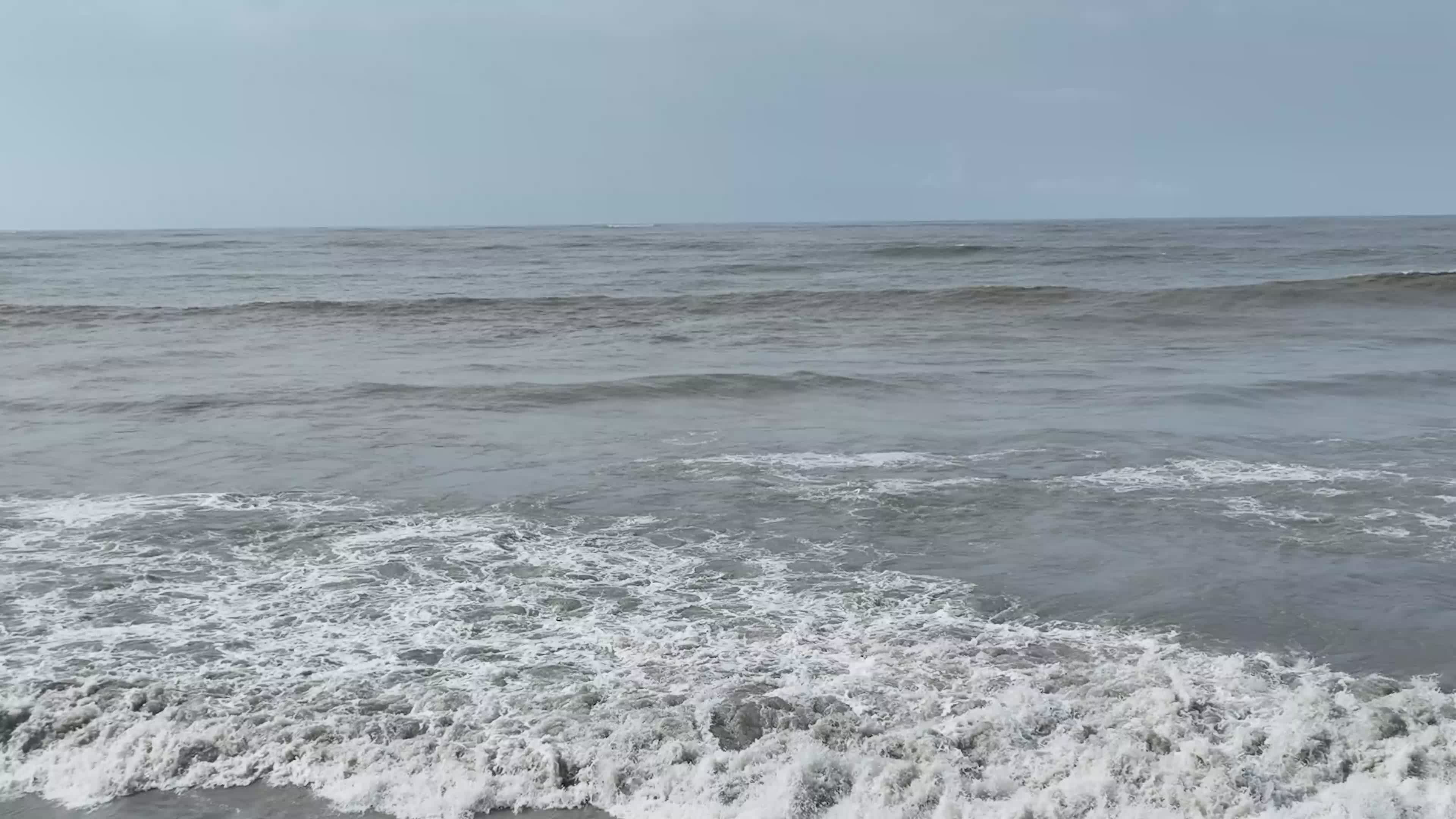 Pexels Video 34239417