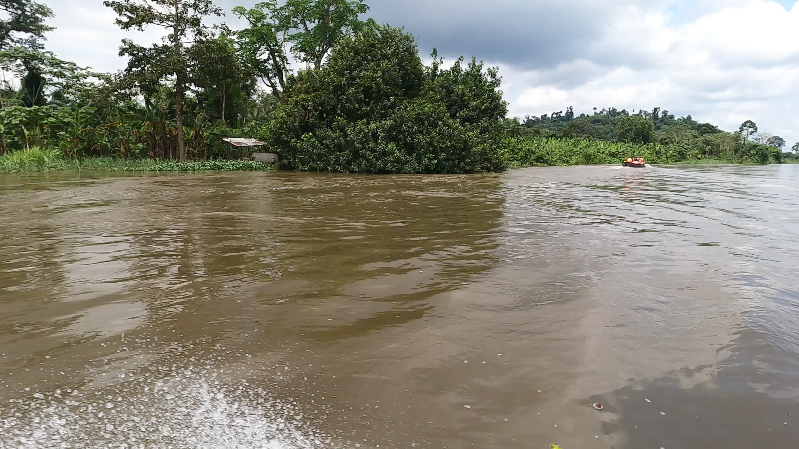 Serene Boat Ride on Lush Tropical River Free Stock Video Footage ...