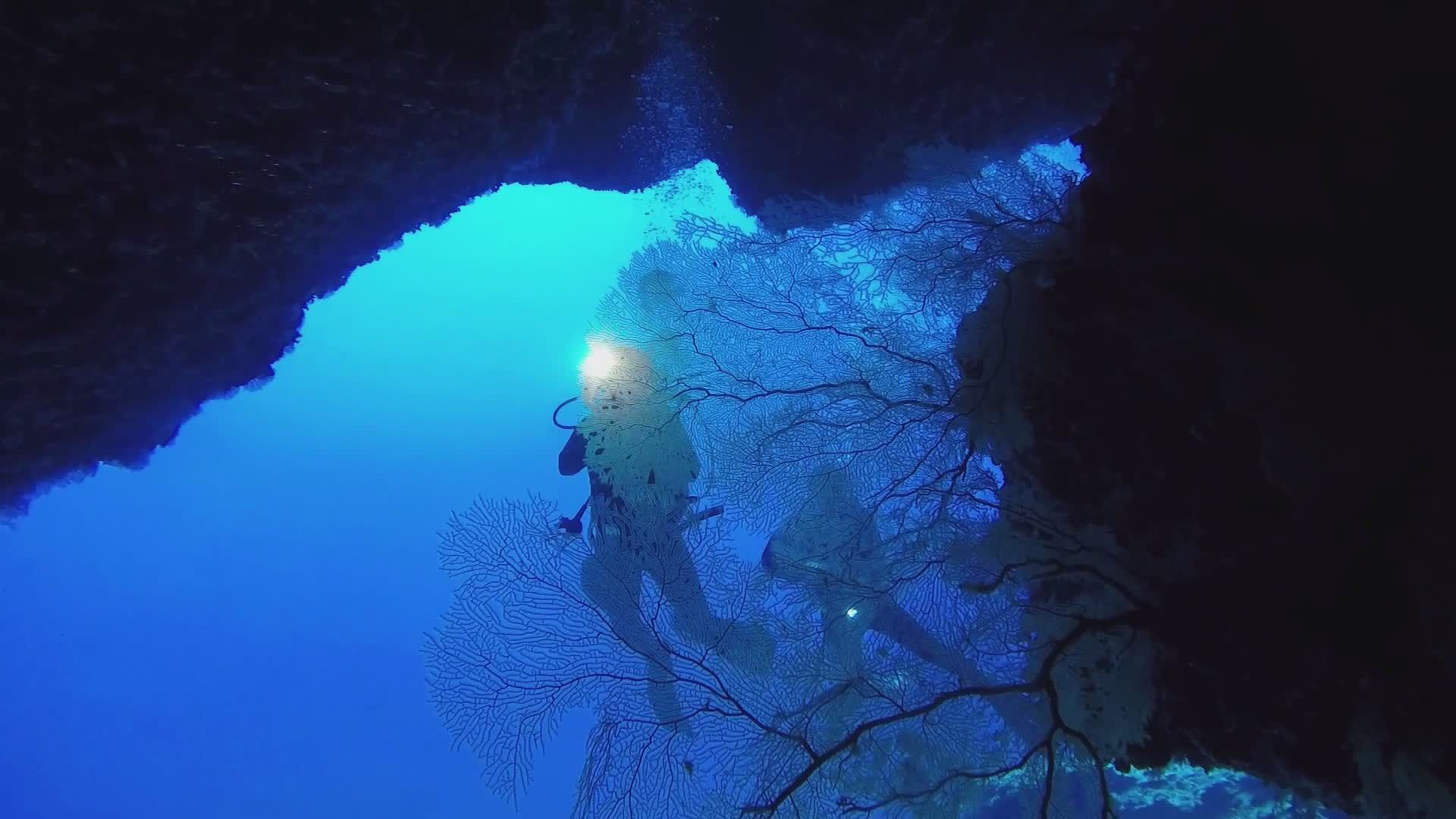 Underwater Adventure with Scuba Divers Free Stock Video Footage ...