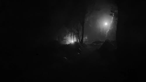 A Person Walking Alone In A Dark Forest