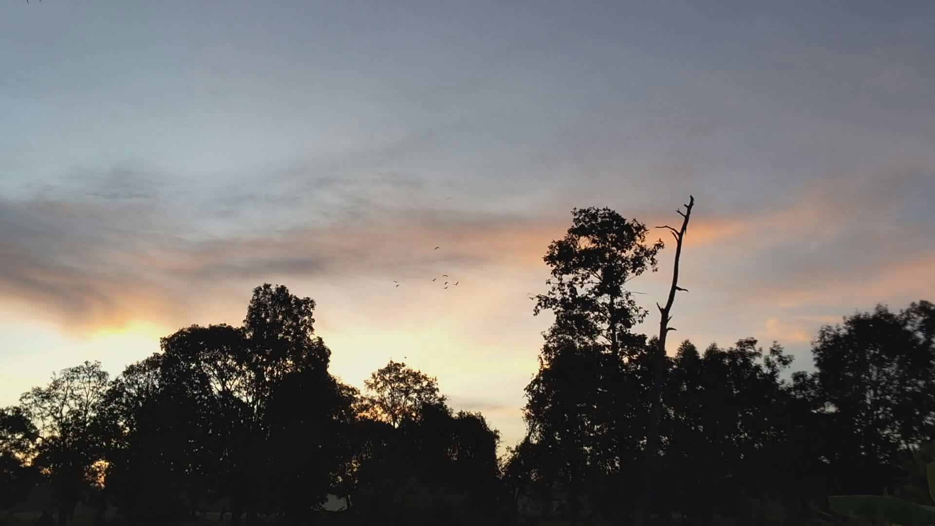 Video by Panya Niyomtham