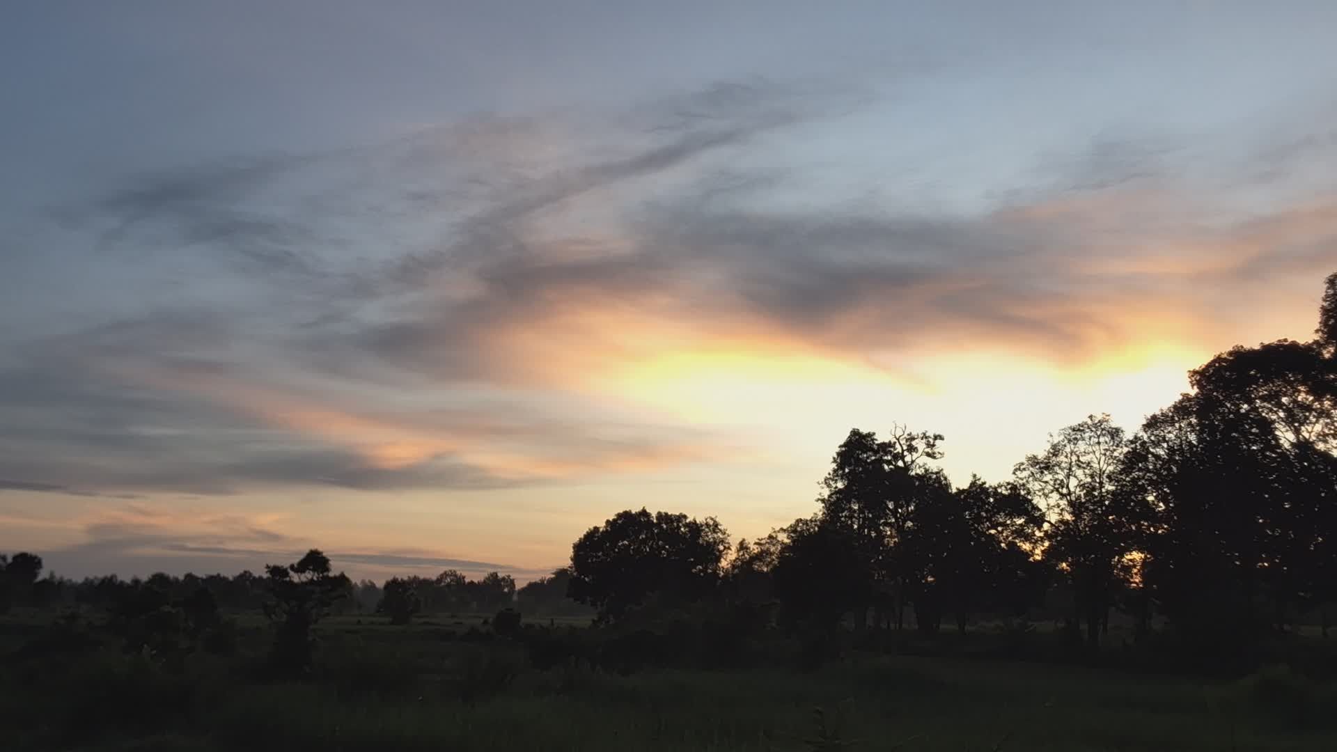 Video by Panya Niyomtham
