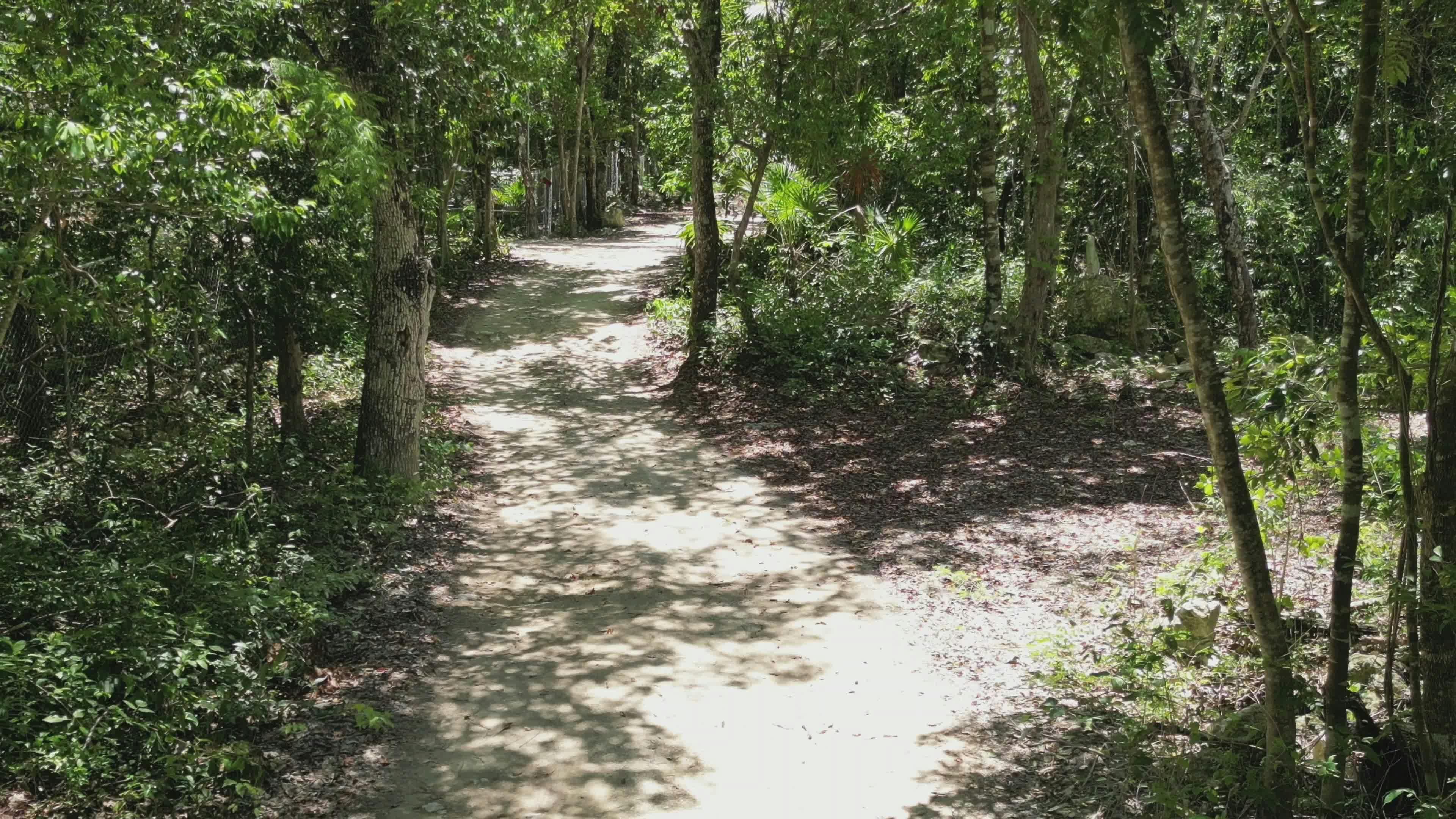 Video by hugoteconecta