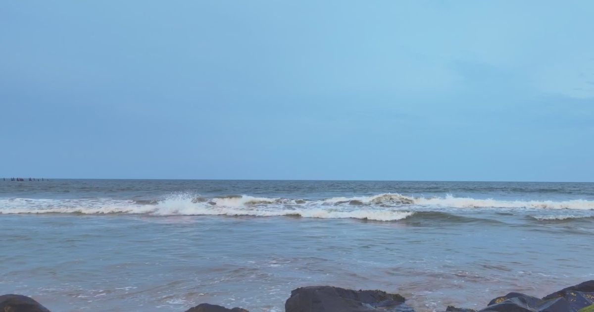 Pexels Video 34299525