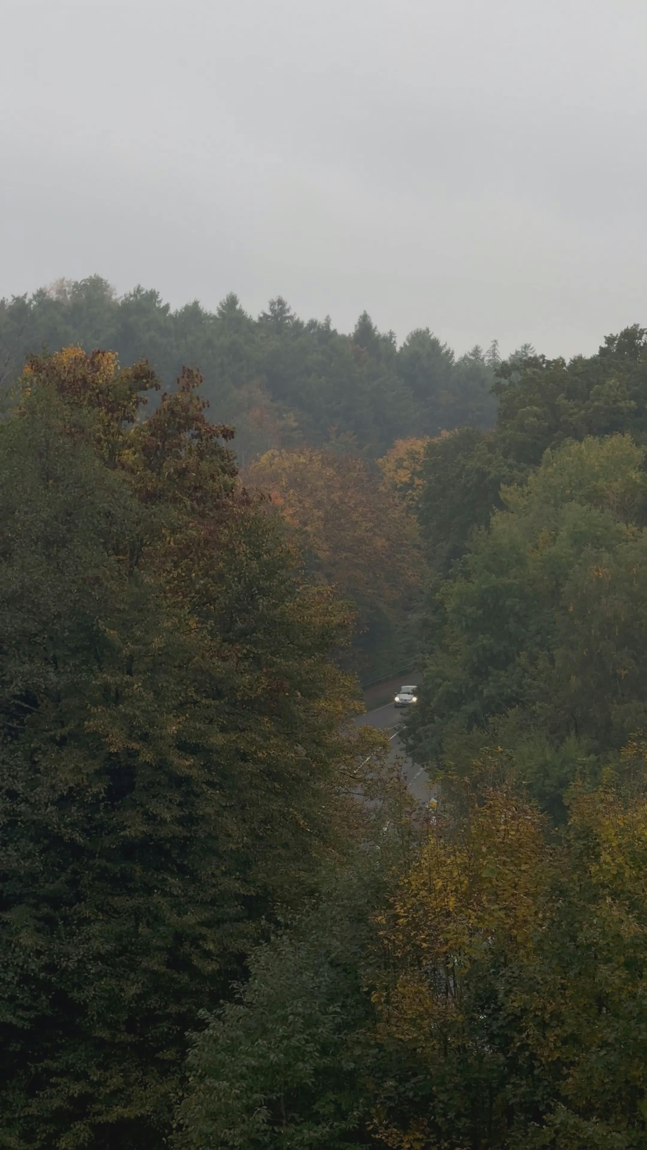 scenic forest road in autumn season 34301184