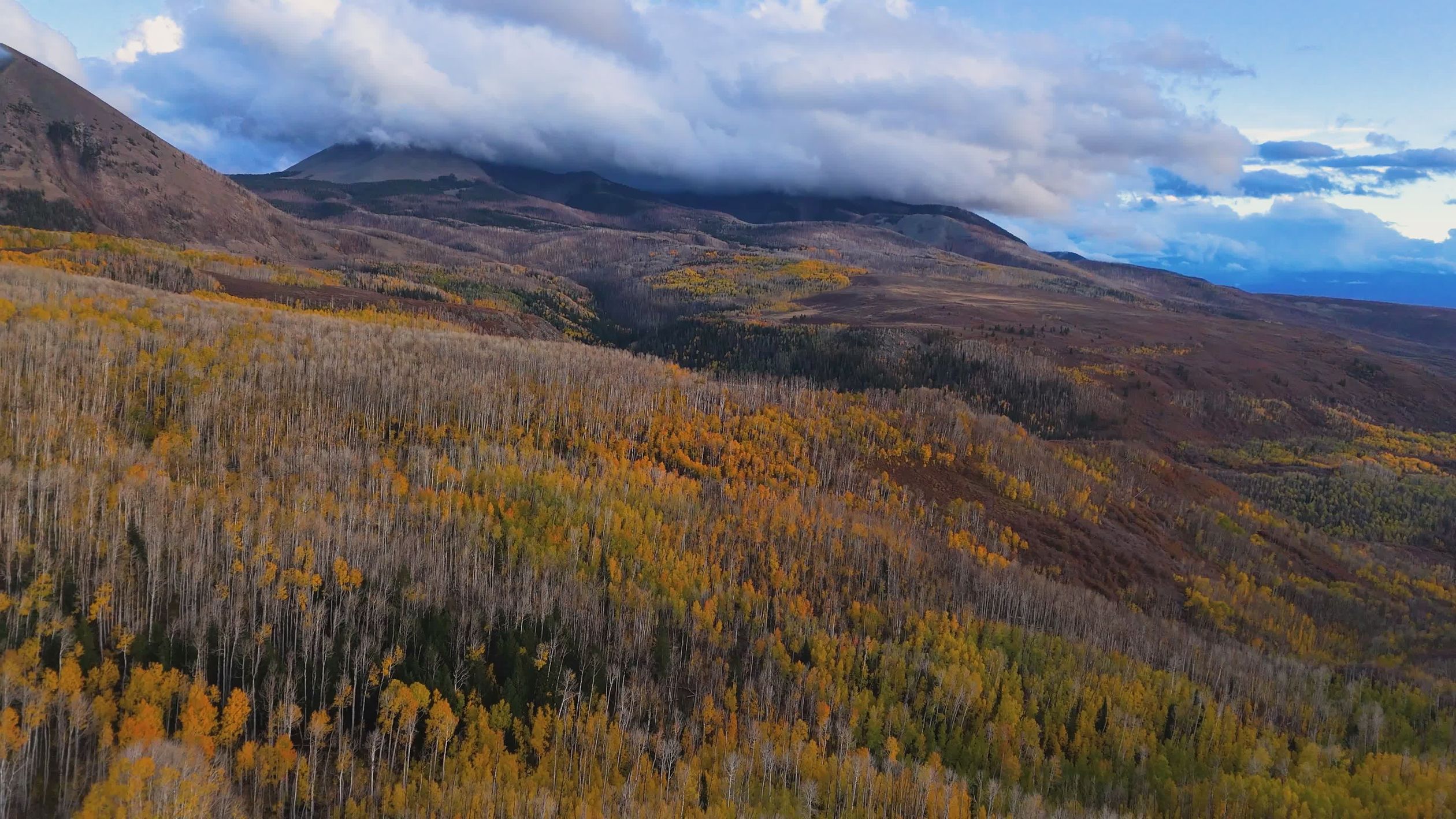 Stunning Aerial View of Autumn Forest and Mountains Free Stock Video ...