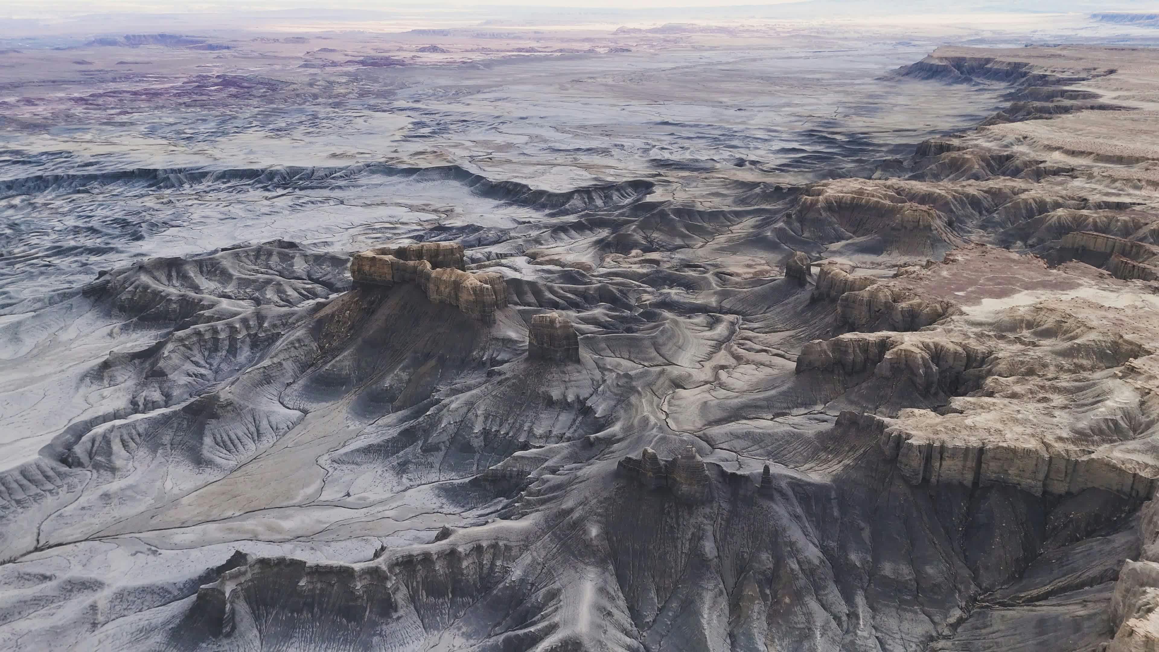 Video by Alex Moliski