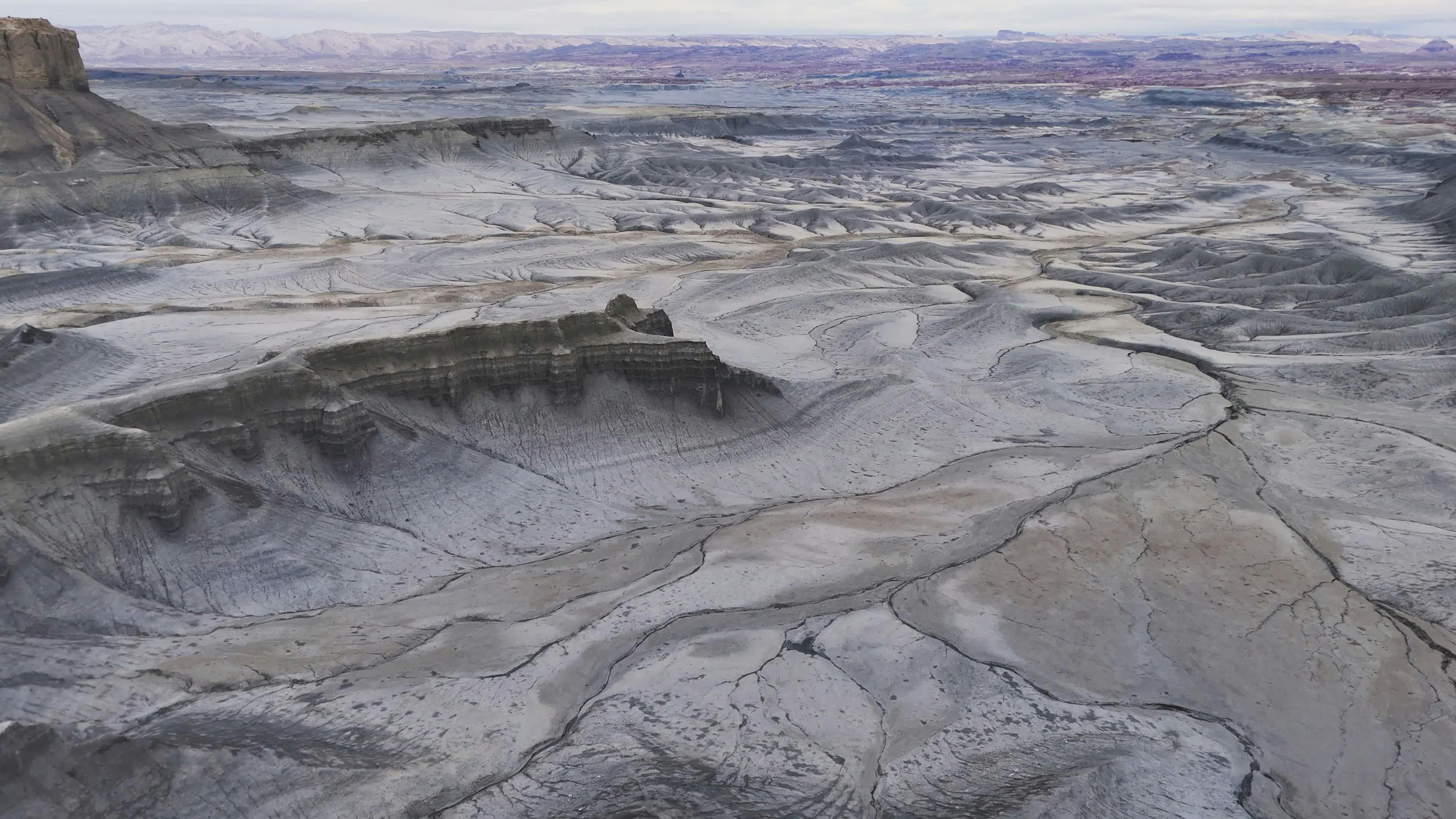 Video by Alex Moliski